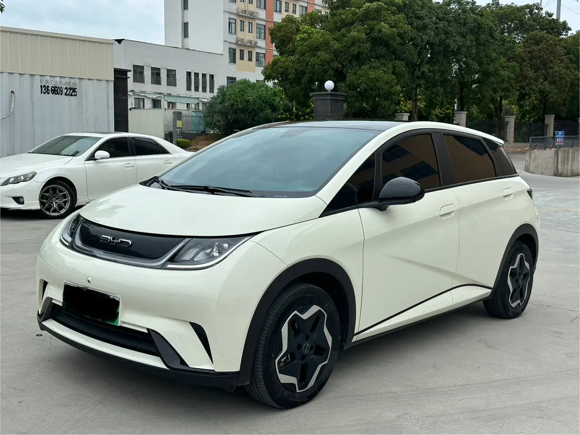 BYD Dolphin  из Китая