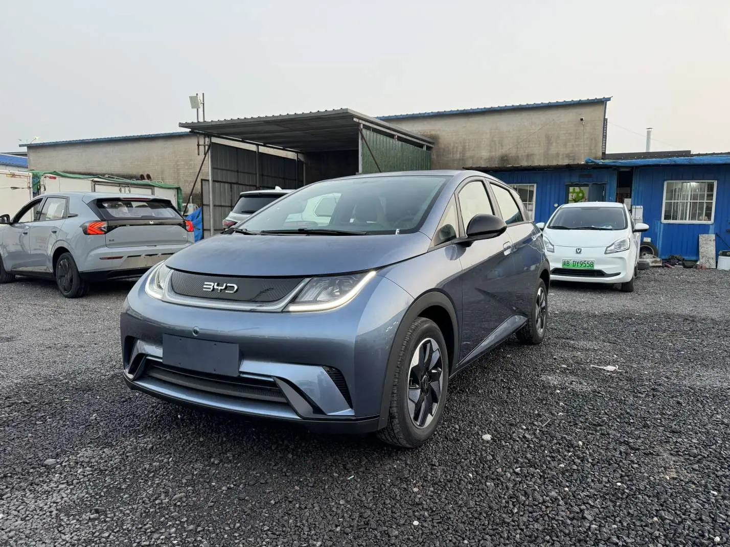 BYD Dolphin  из Китая