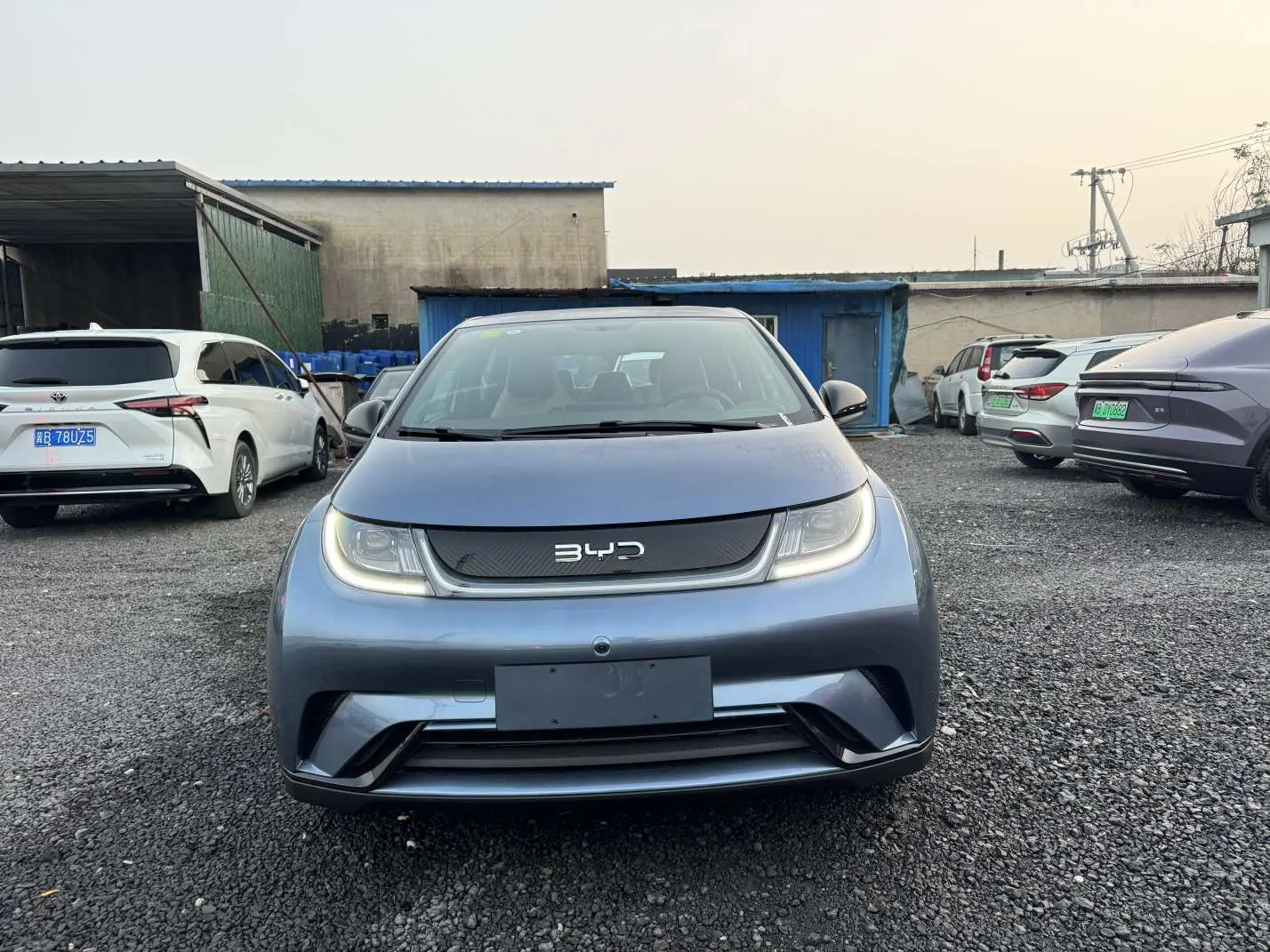 BYD Dolphin  из Китая