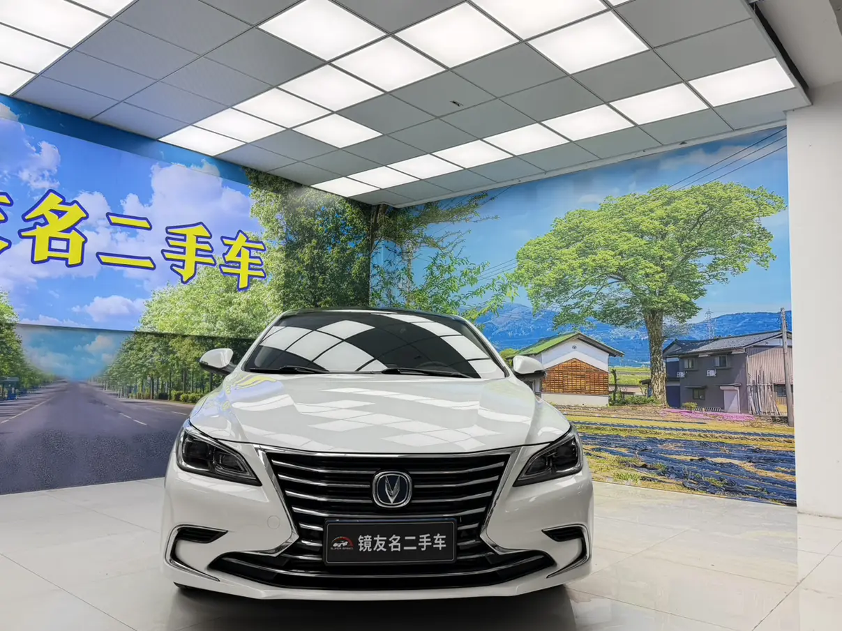 Changan Ruicheng CC  из Китая