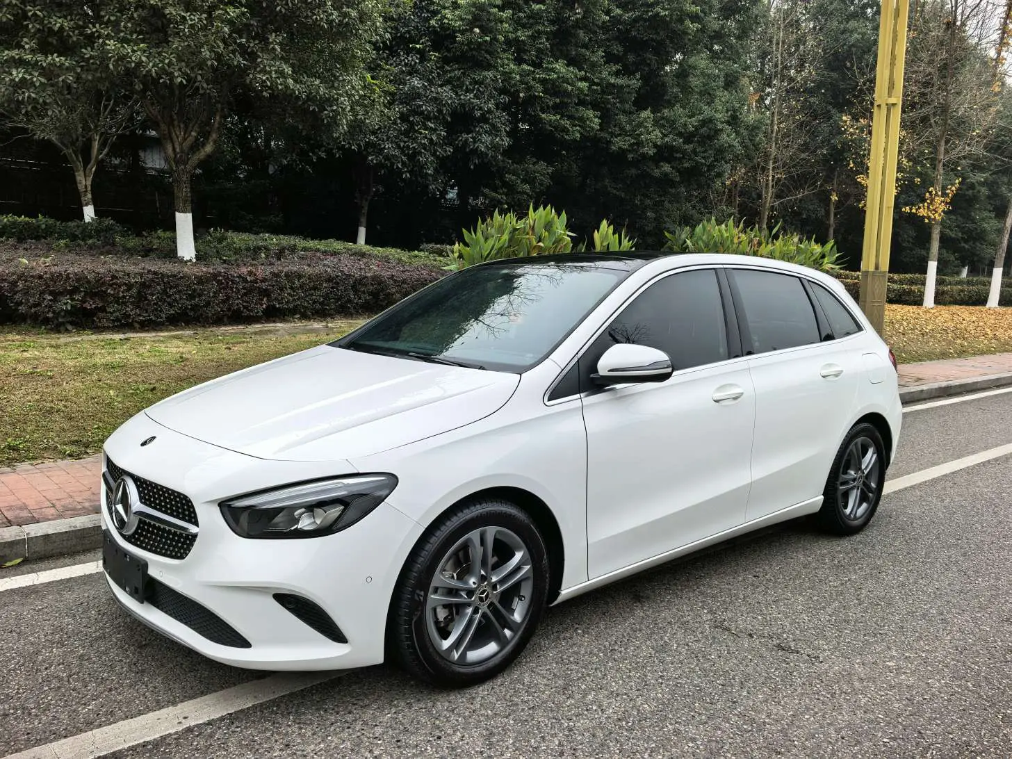 Mercedes-Benz Mercedes Benz B Class  из Китая