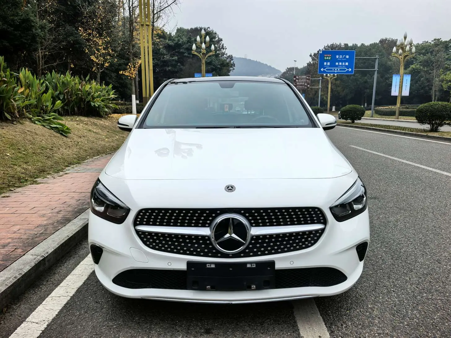 Mercedes-Benz Mercedes Benz B Class  из Китая