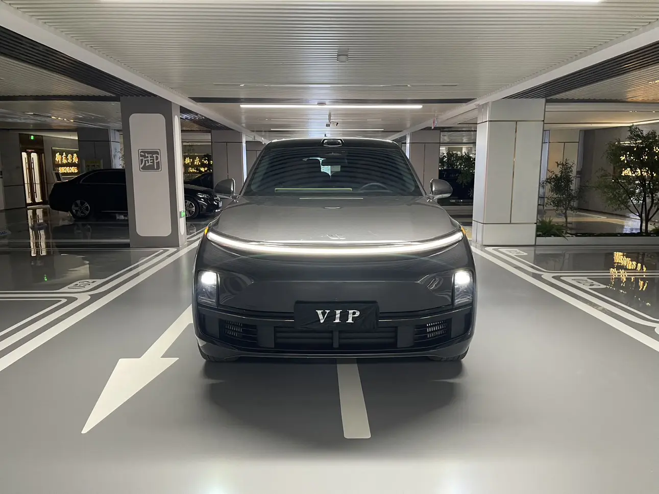 Li L9 (Ideal L9)  из Китая