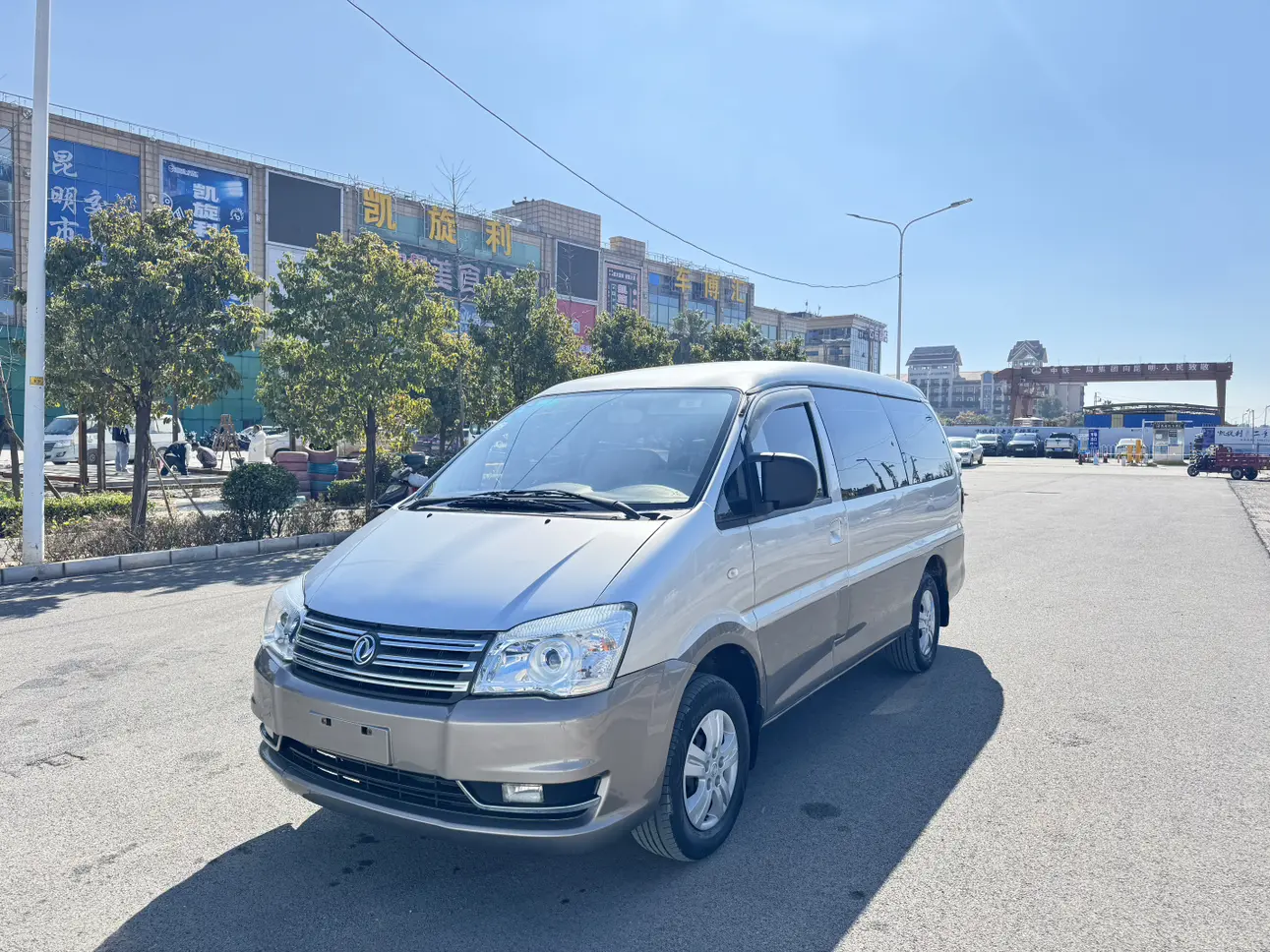 Forthing Lingzhi  из Китая