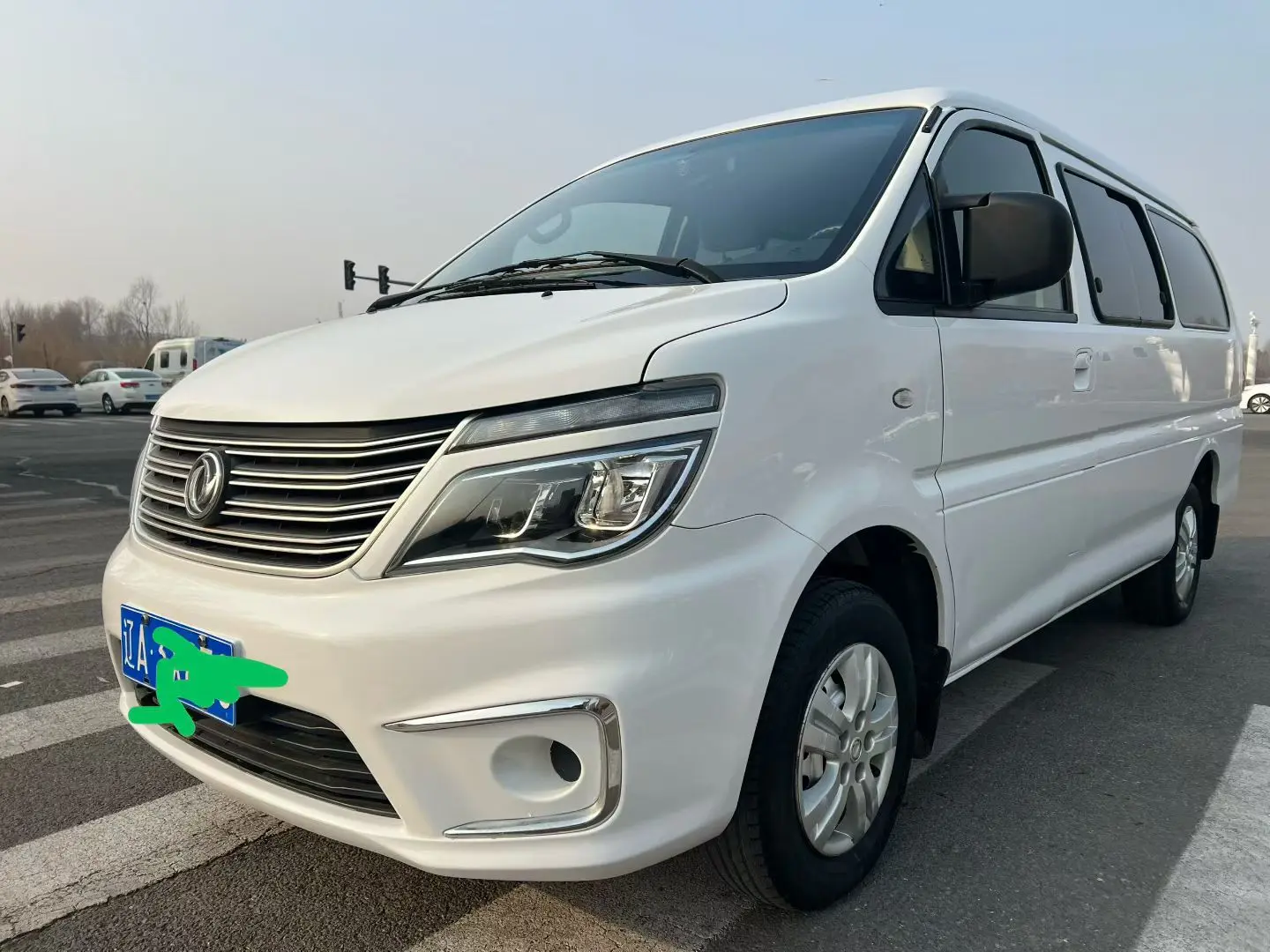 Forthing Lingzhi  из Китая