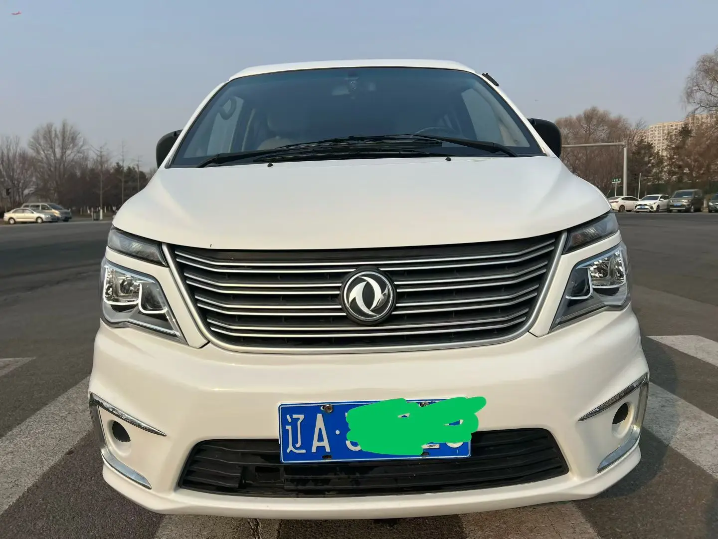 Forthing Lingzhi  из Китая