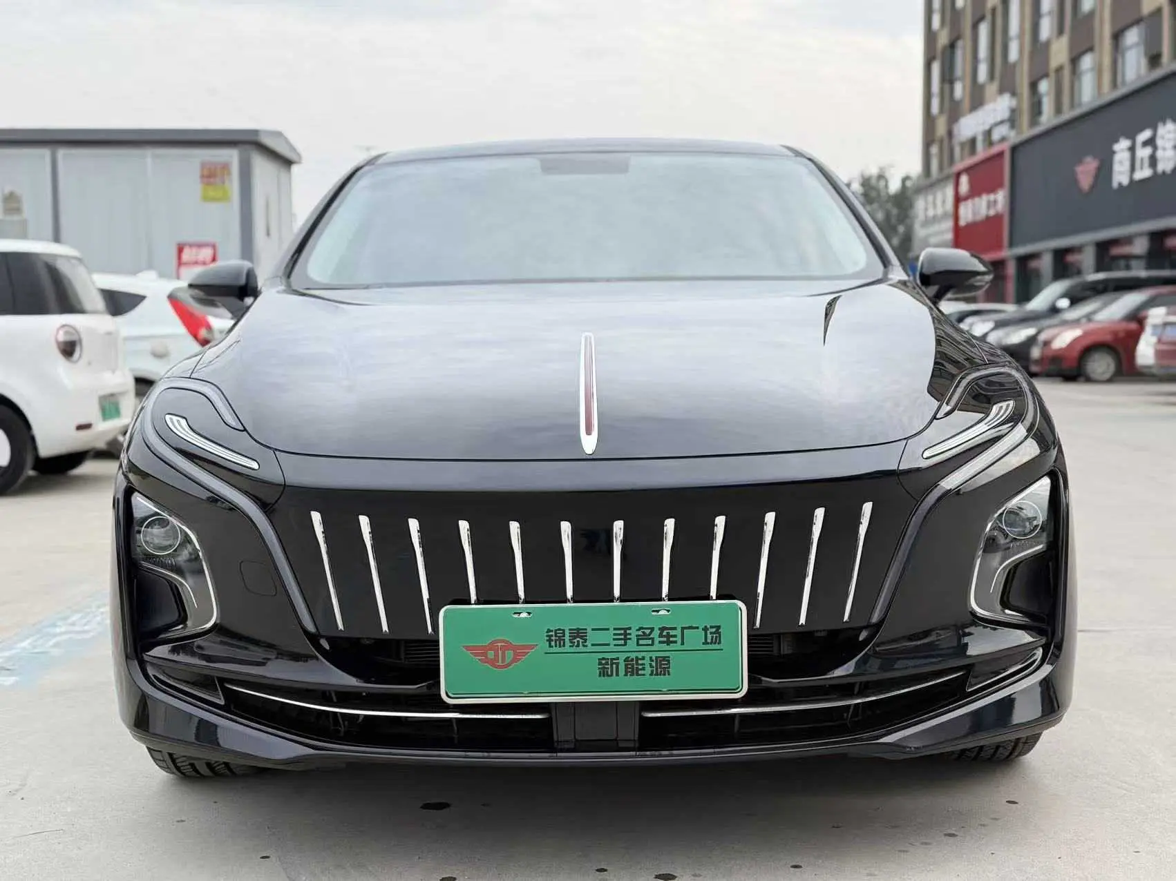 Hongqi E-QM5  из Китая