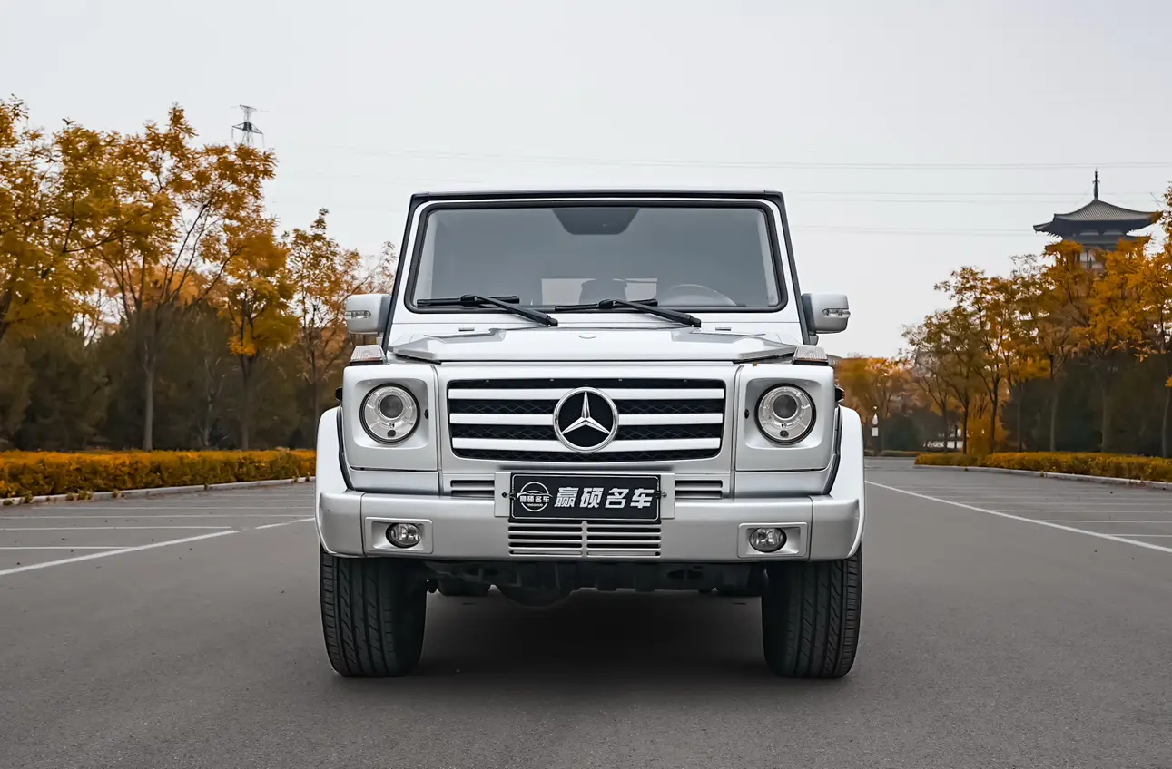Mercedes-Benz Mercedes Benz G Class  из Китая