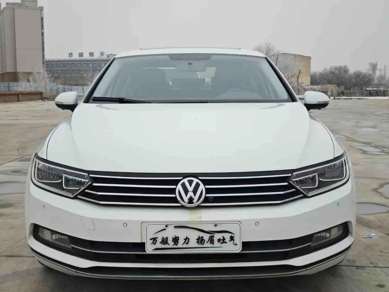 Volkswagen Magotan  из Китая