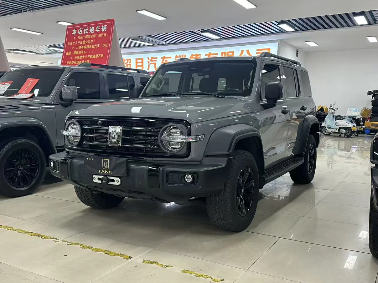 Tank 300  из Китая