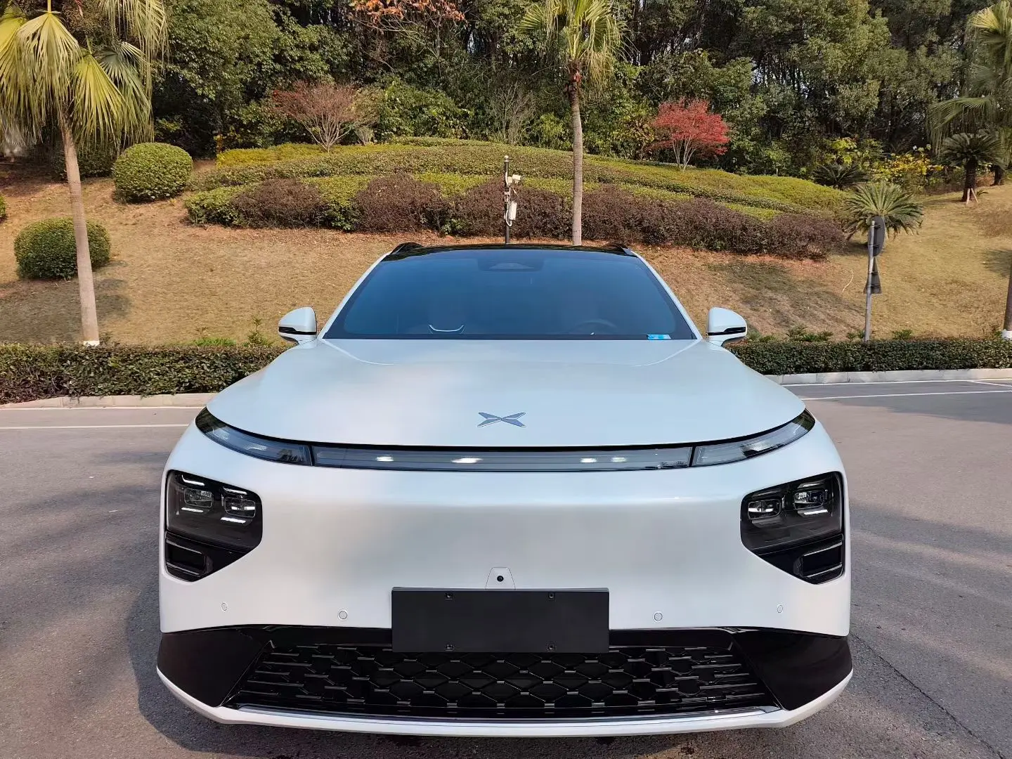 Xpeng G9  из Китая