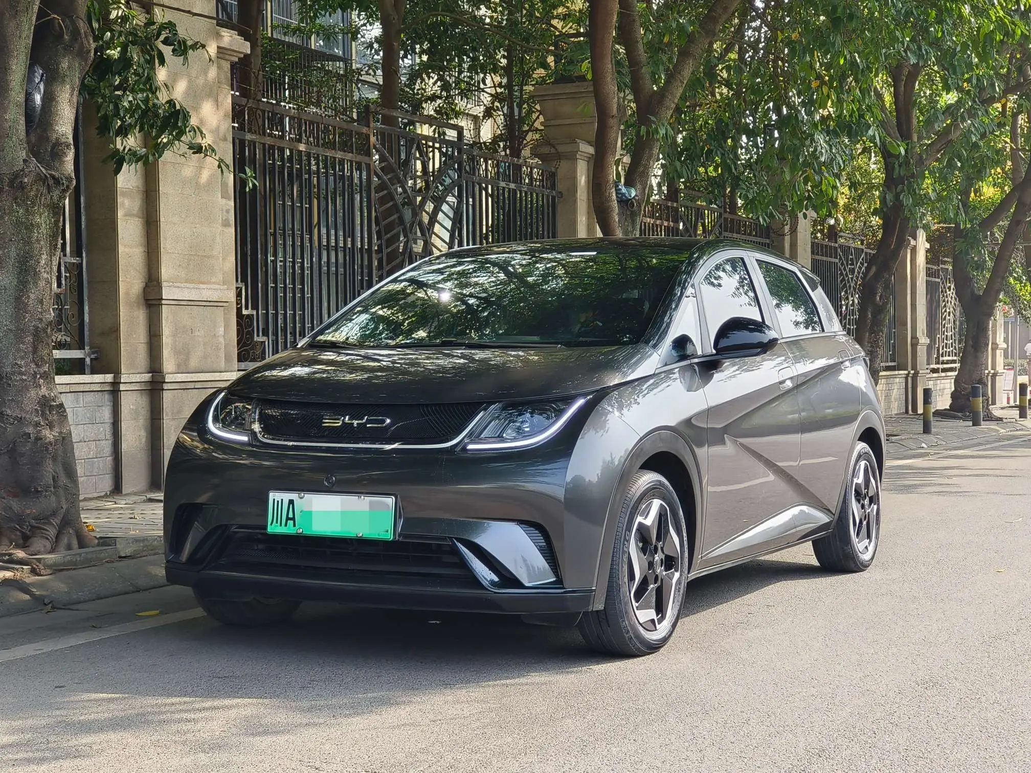 BYD Dolphin  из Китая