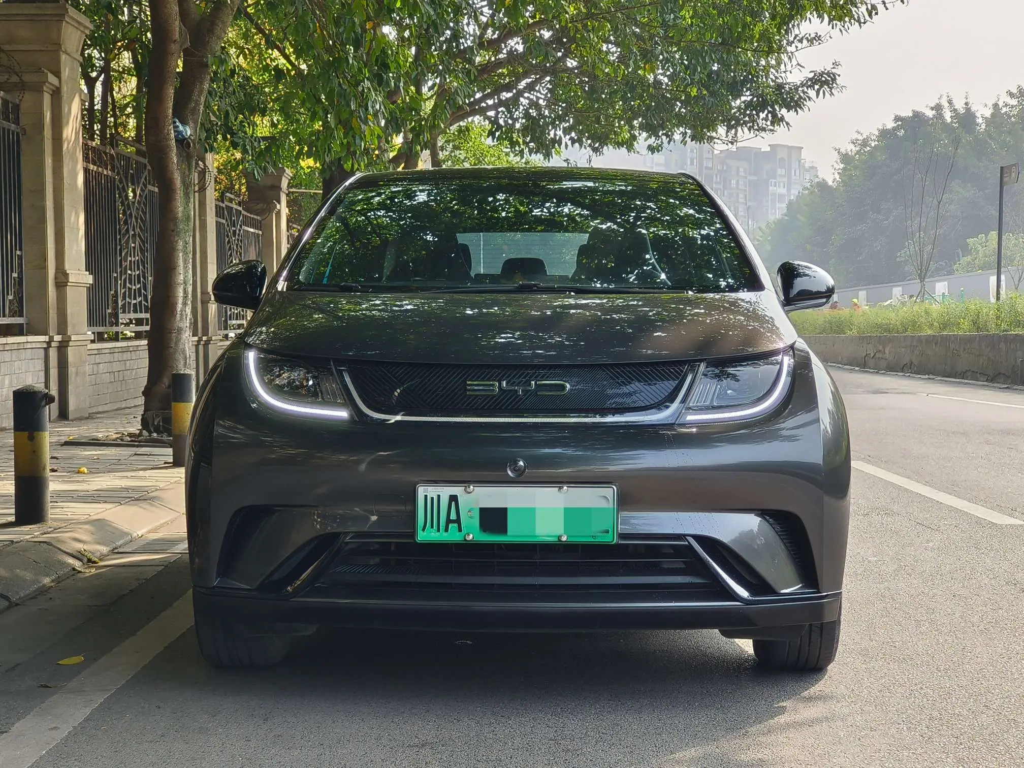 BYD Dolphin  из Китая