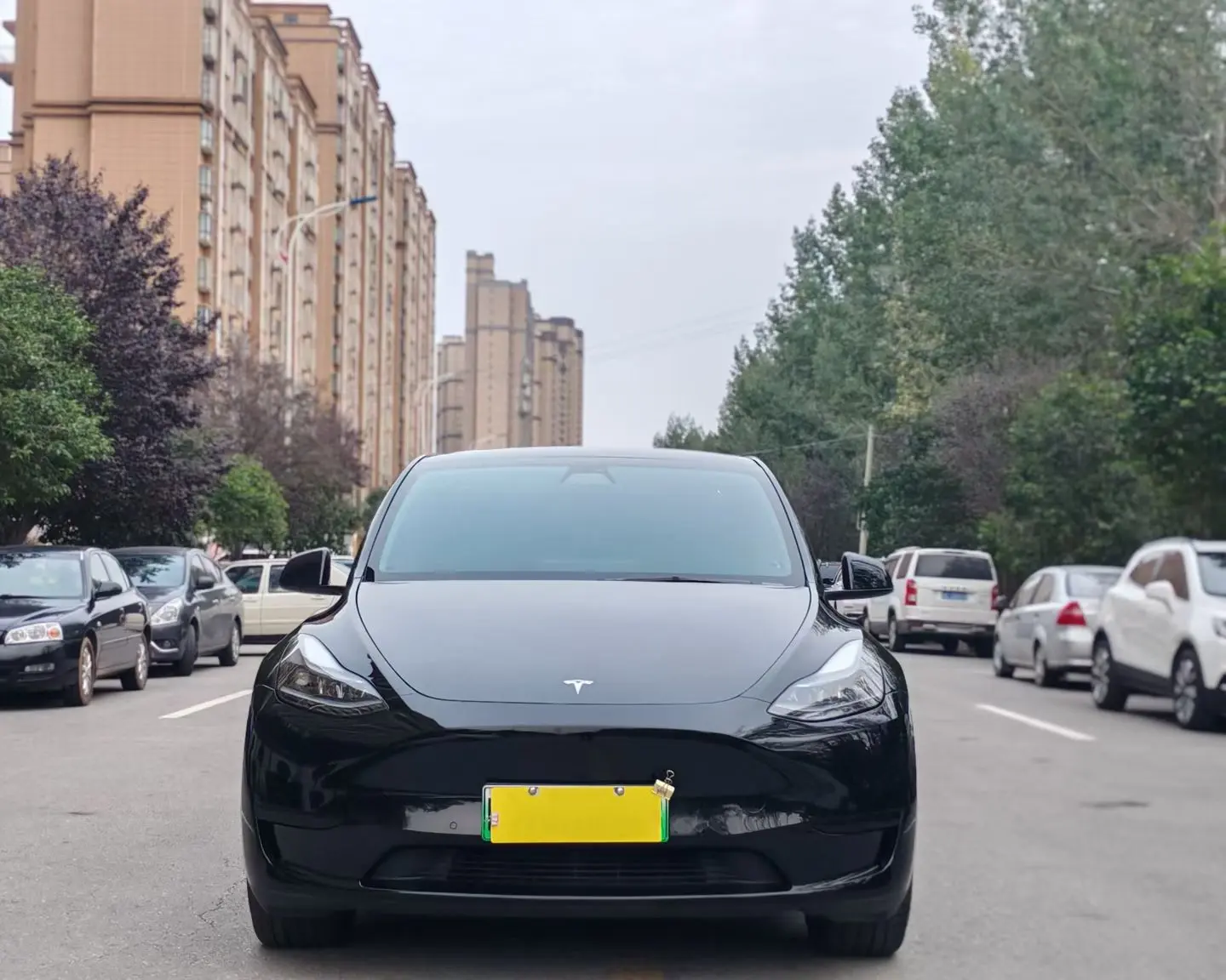Tesla Model Y  из Китая