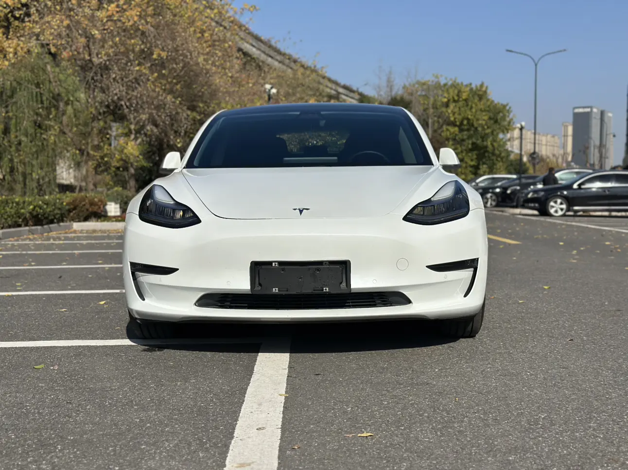 Tesla Model 3  из Китая