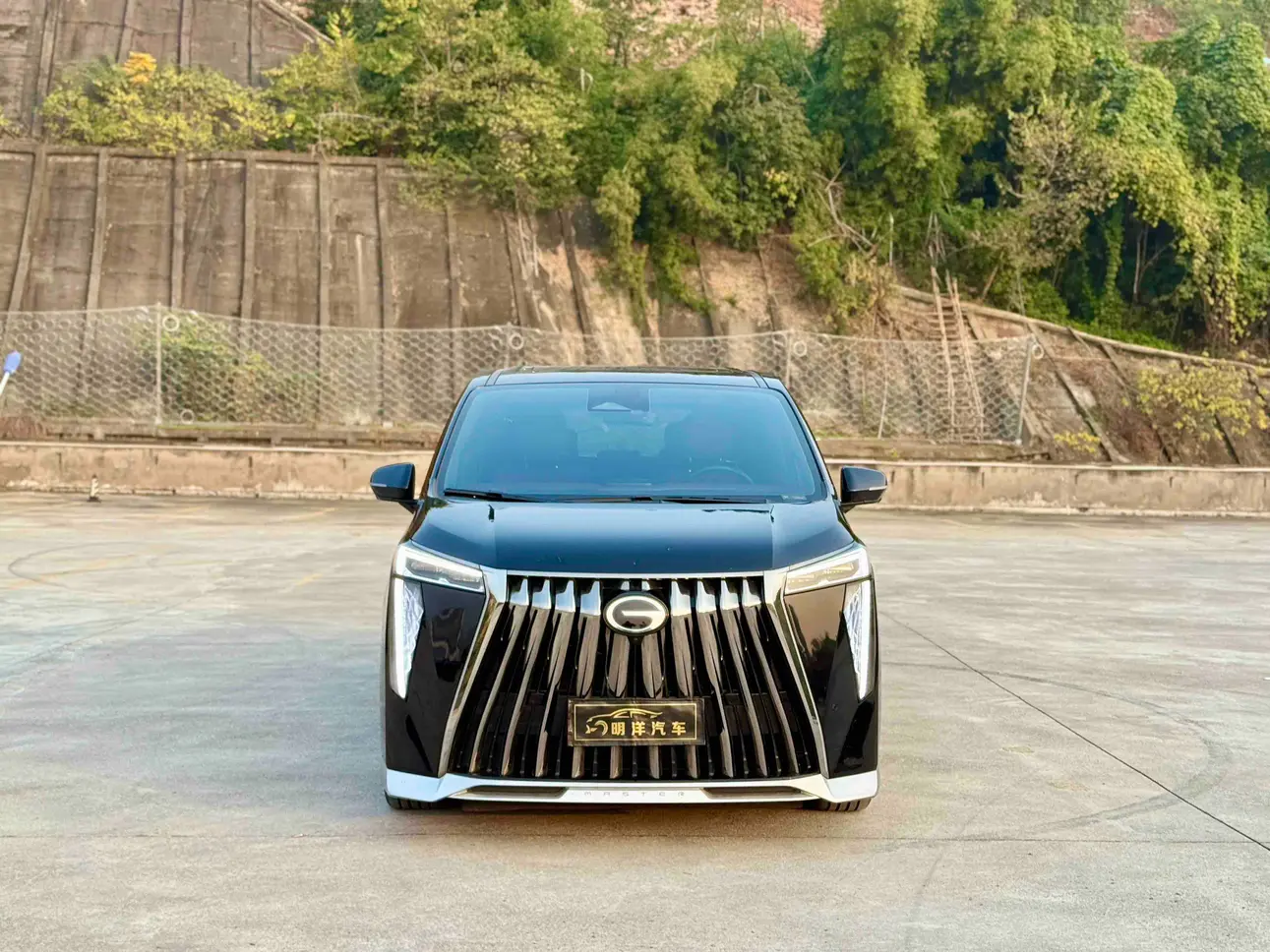 GAC Trumpchi M8  из Китая