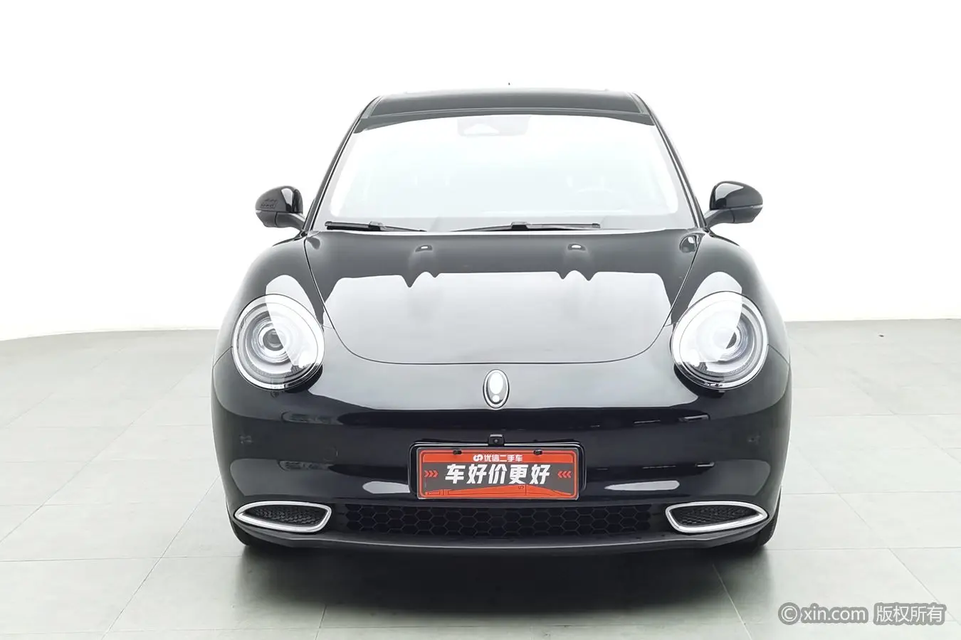 ORA Euler good cat  из Китая