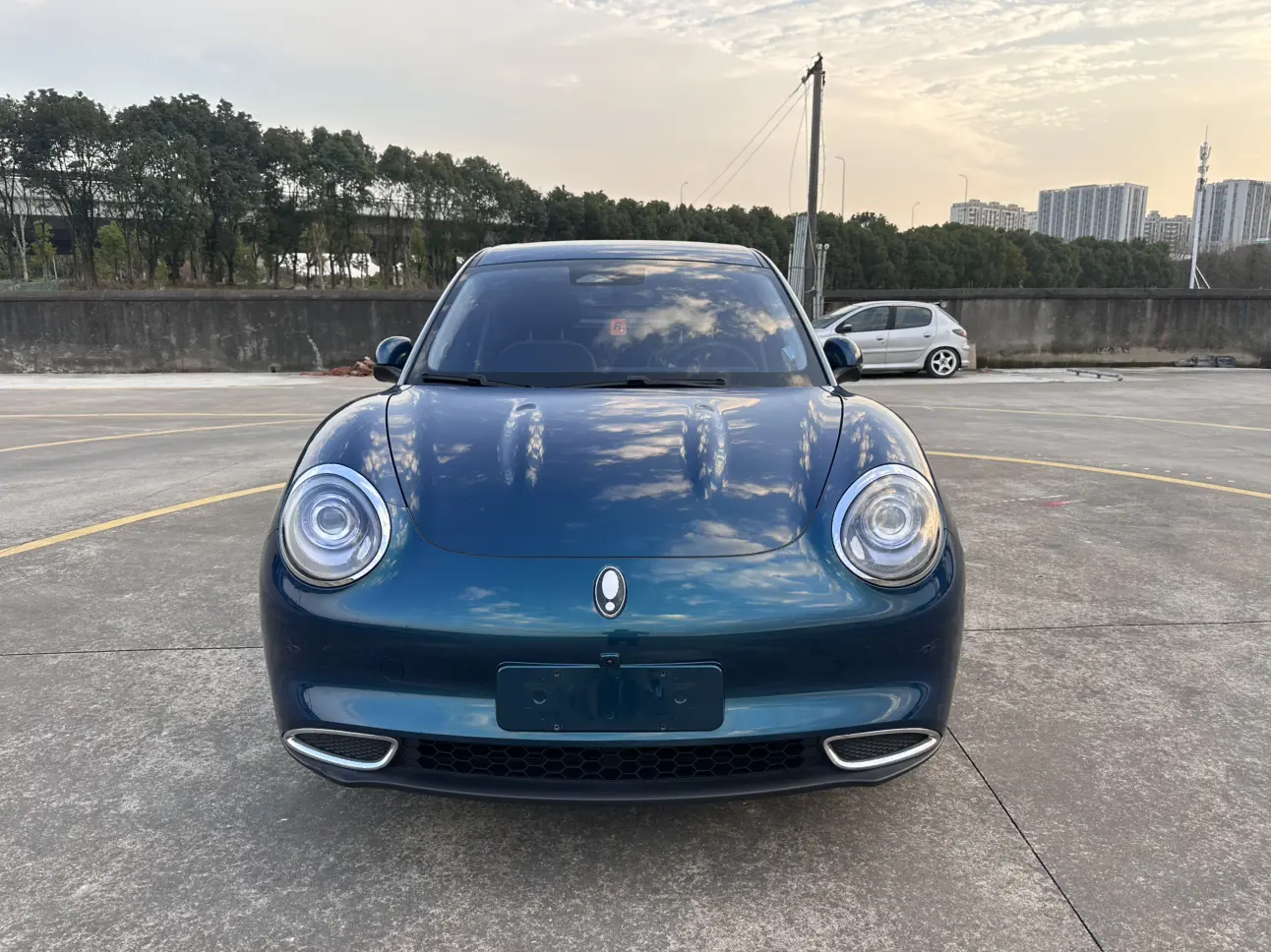 ORA Euler good cat  из Китая