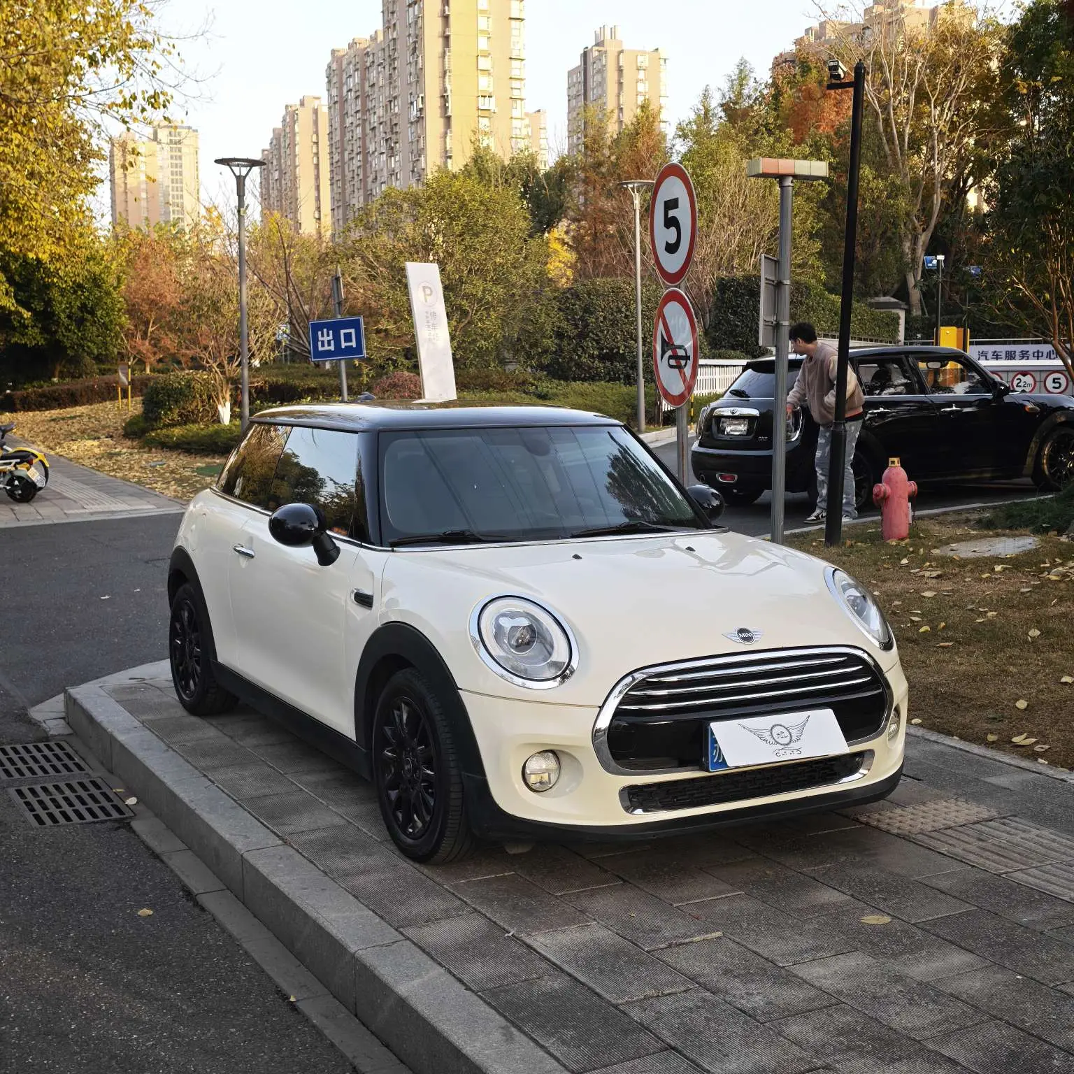 MINI 