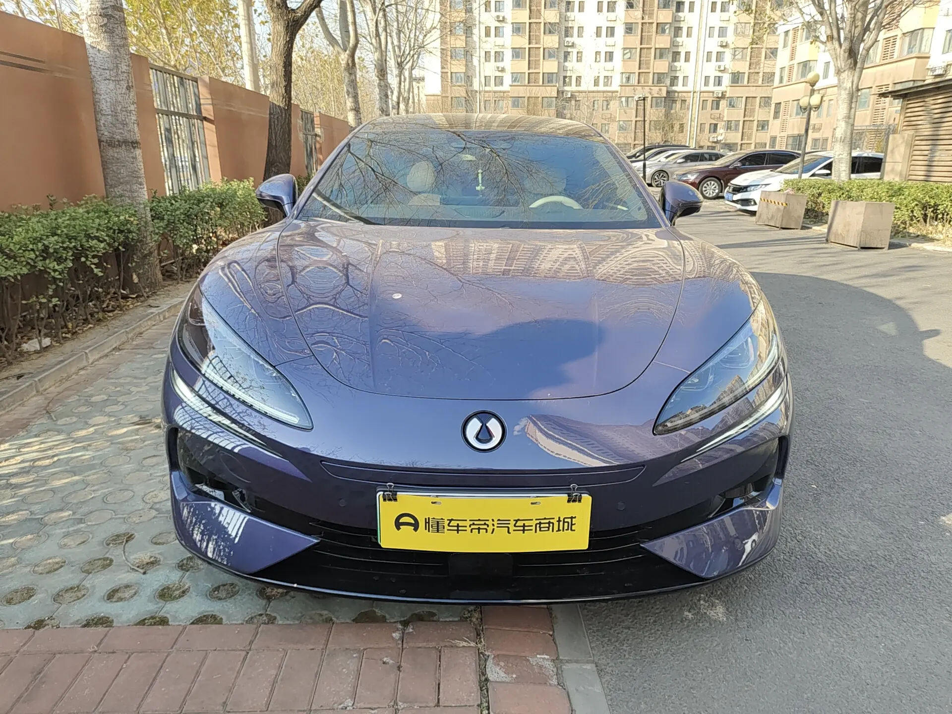 Denza Tengzhong Z9 DM  из Китая