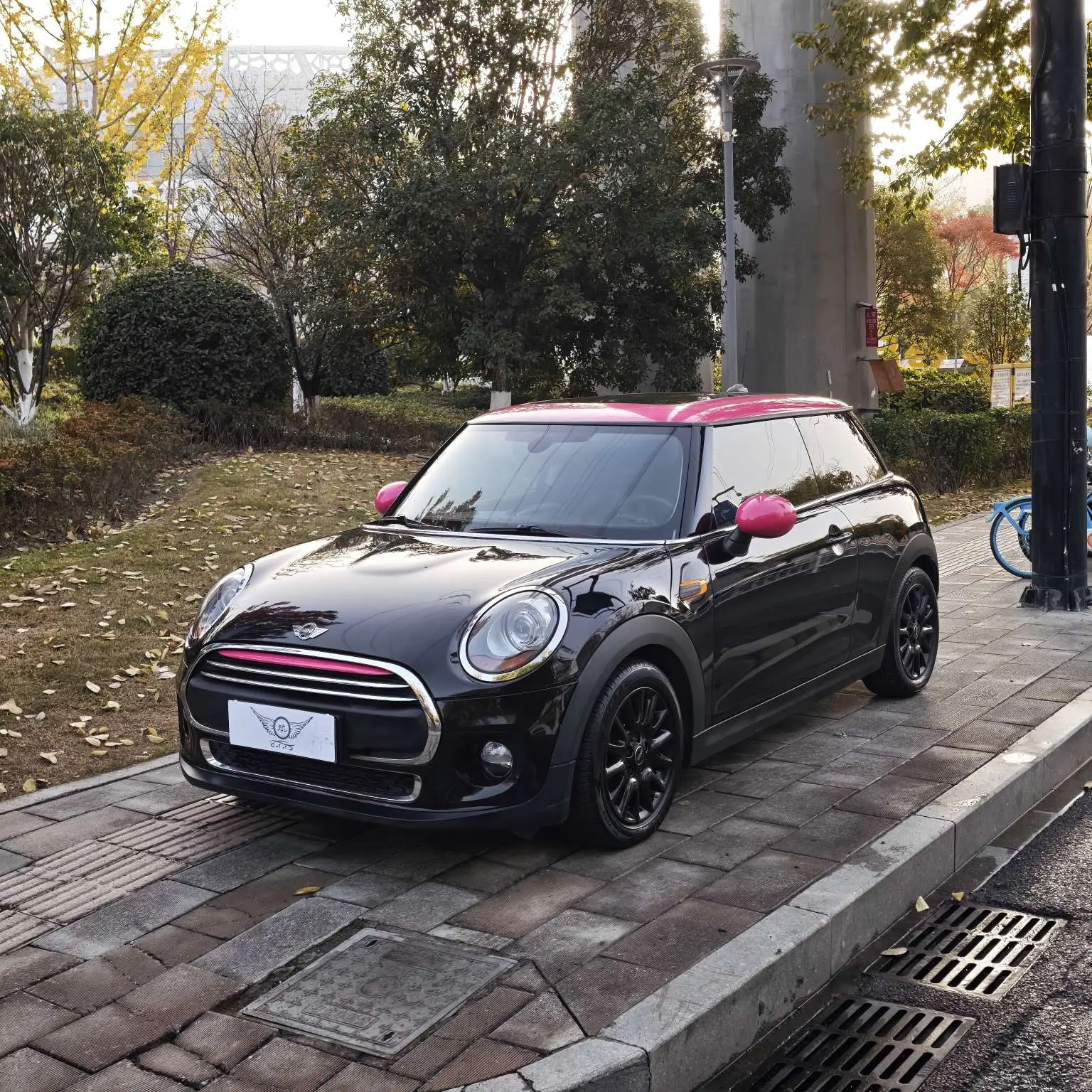 MINI MINI  из Китая