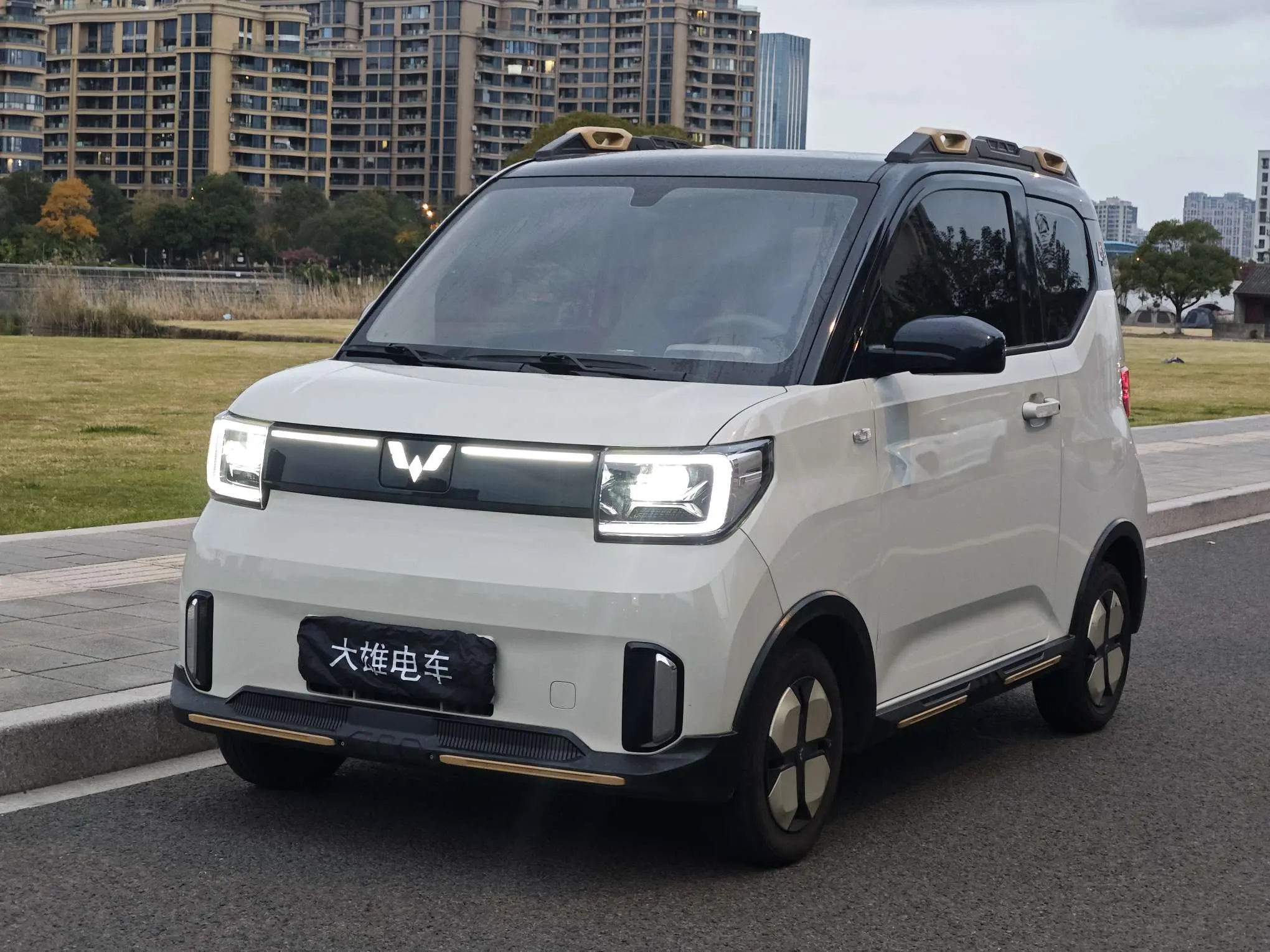 Wuling Hongguang MINIEV  из Китая
