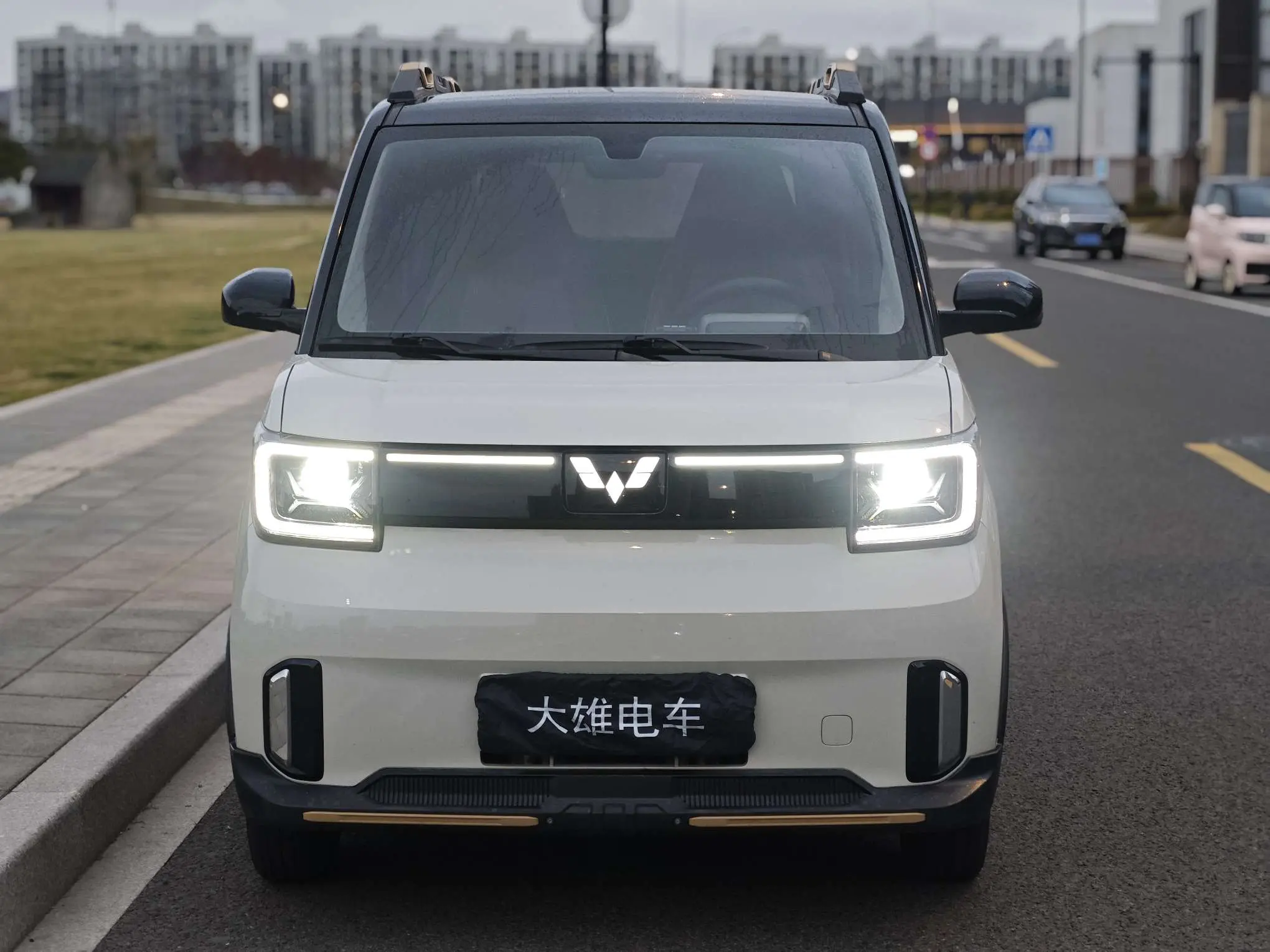 Wuling Hongguang MINIEV  из Китая
