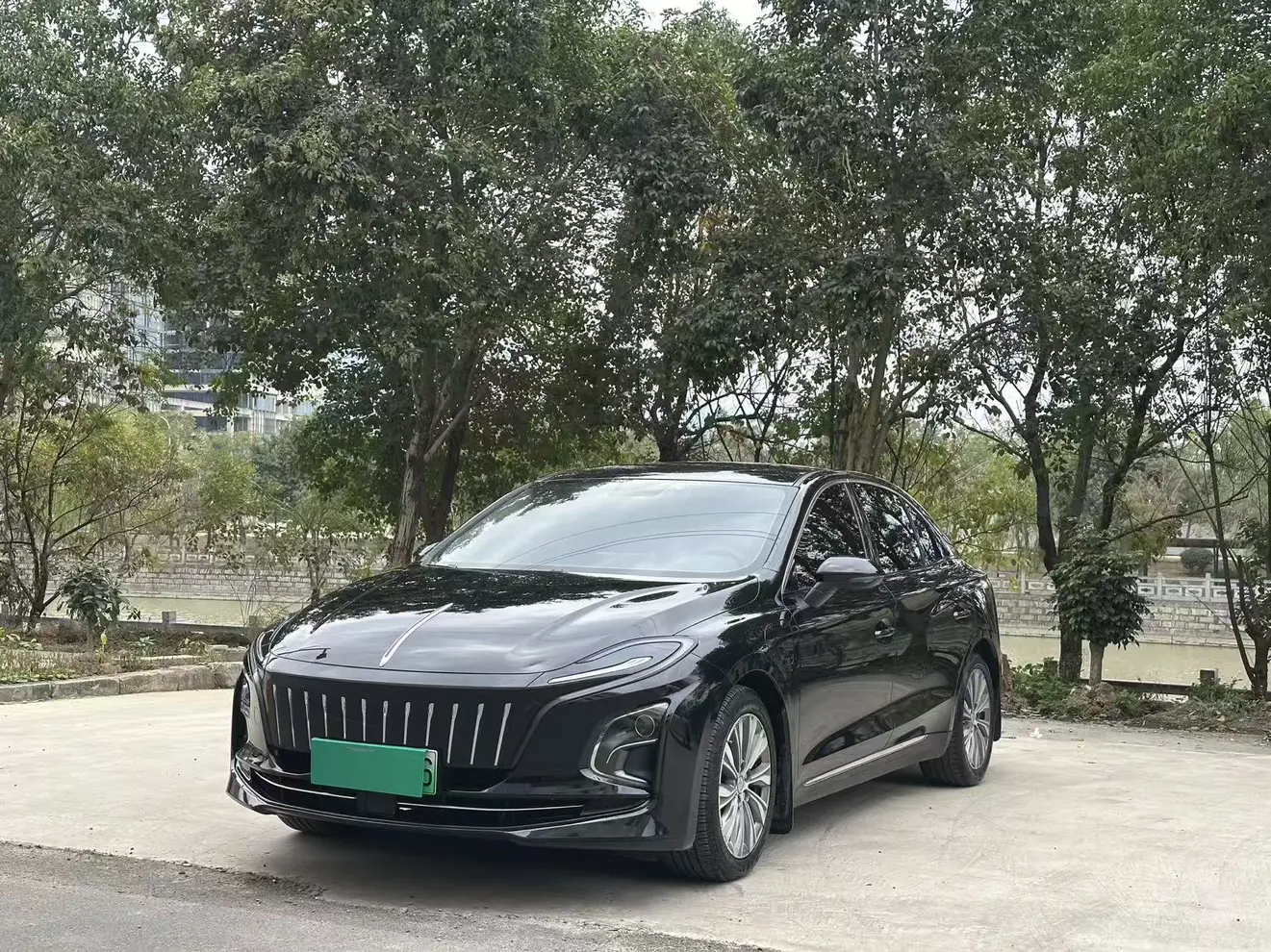Hongqi E-QM5  из Китая