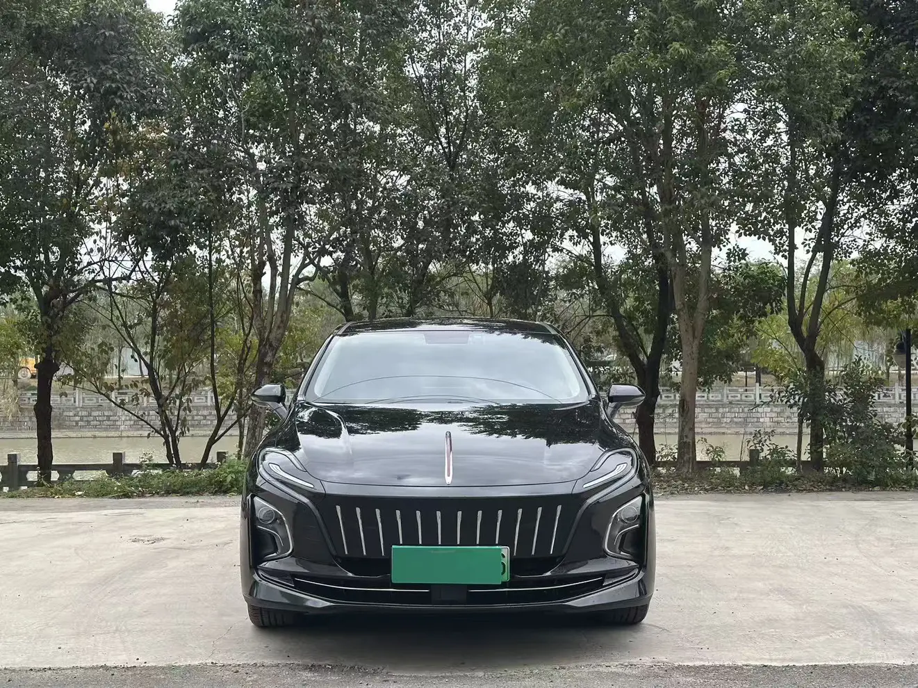 Hongqi E-QM5  из Китая
