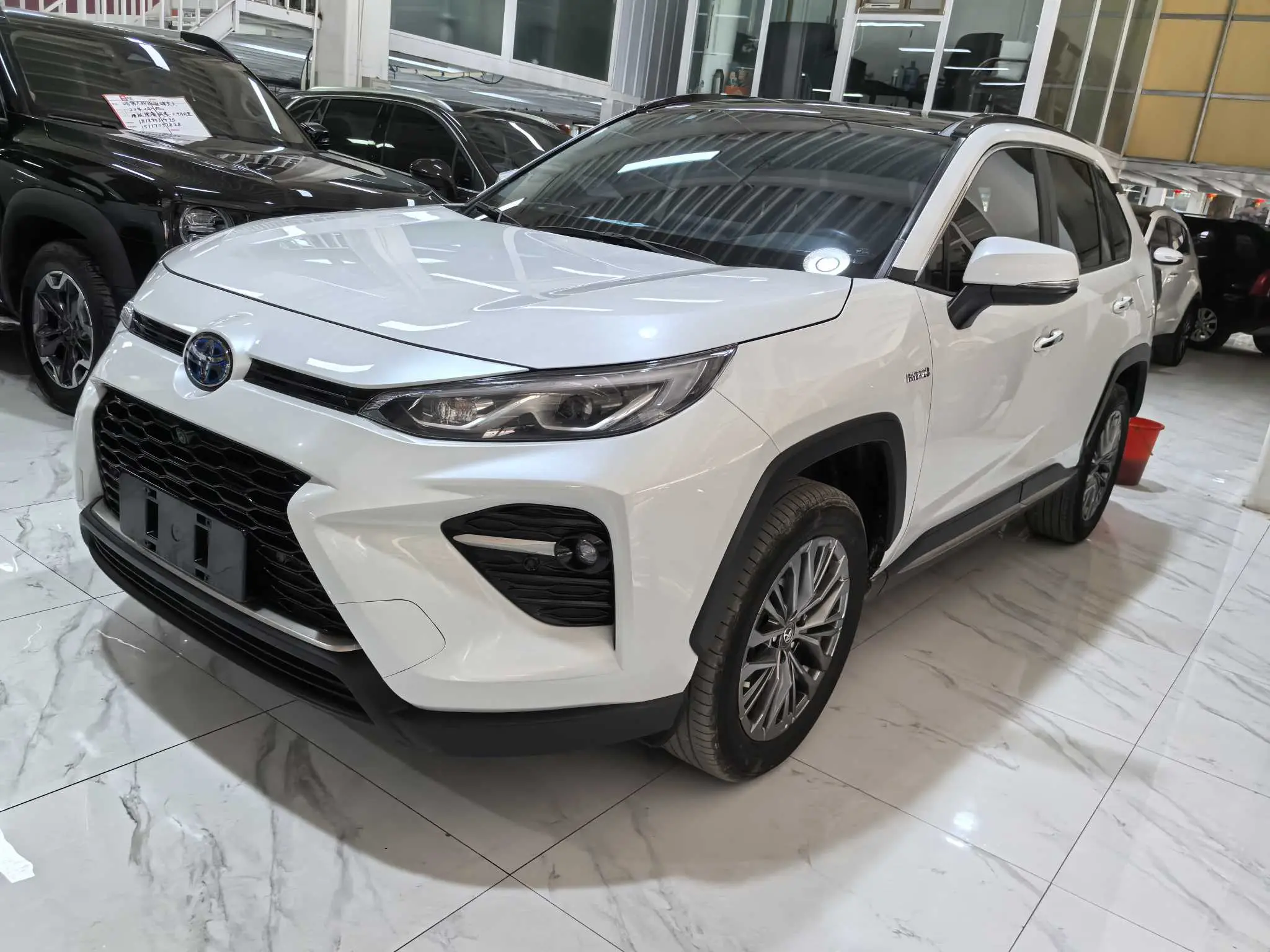Toyota Willanda