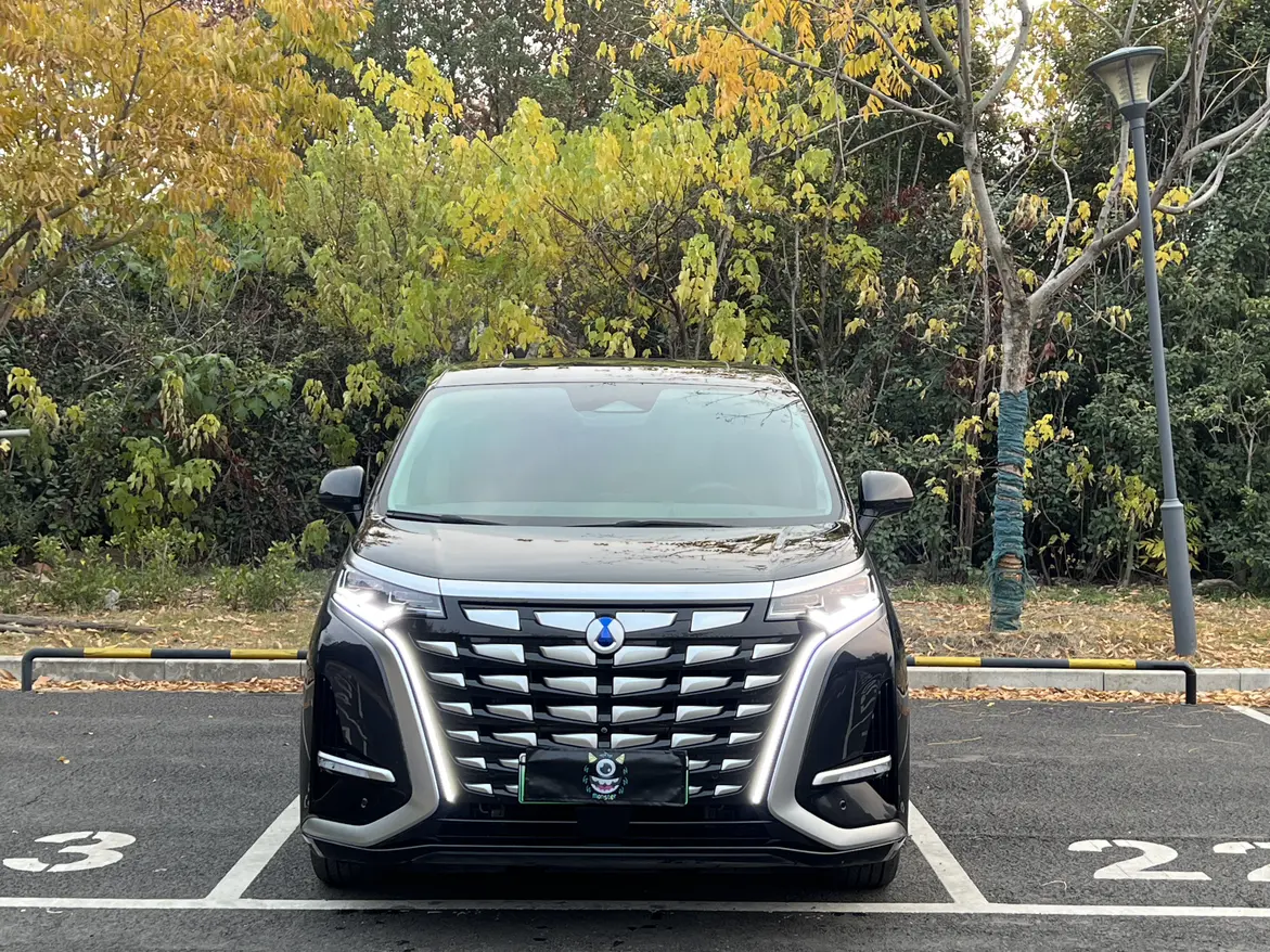 Denza D9 DM  из Китая