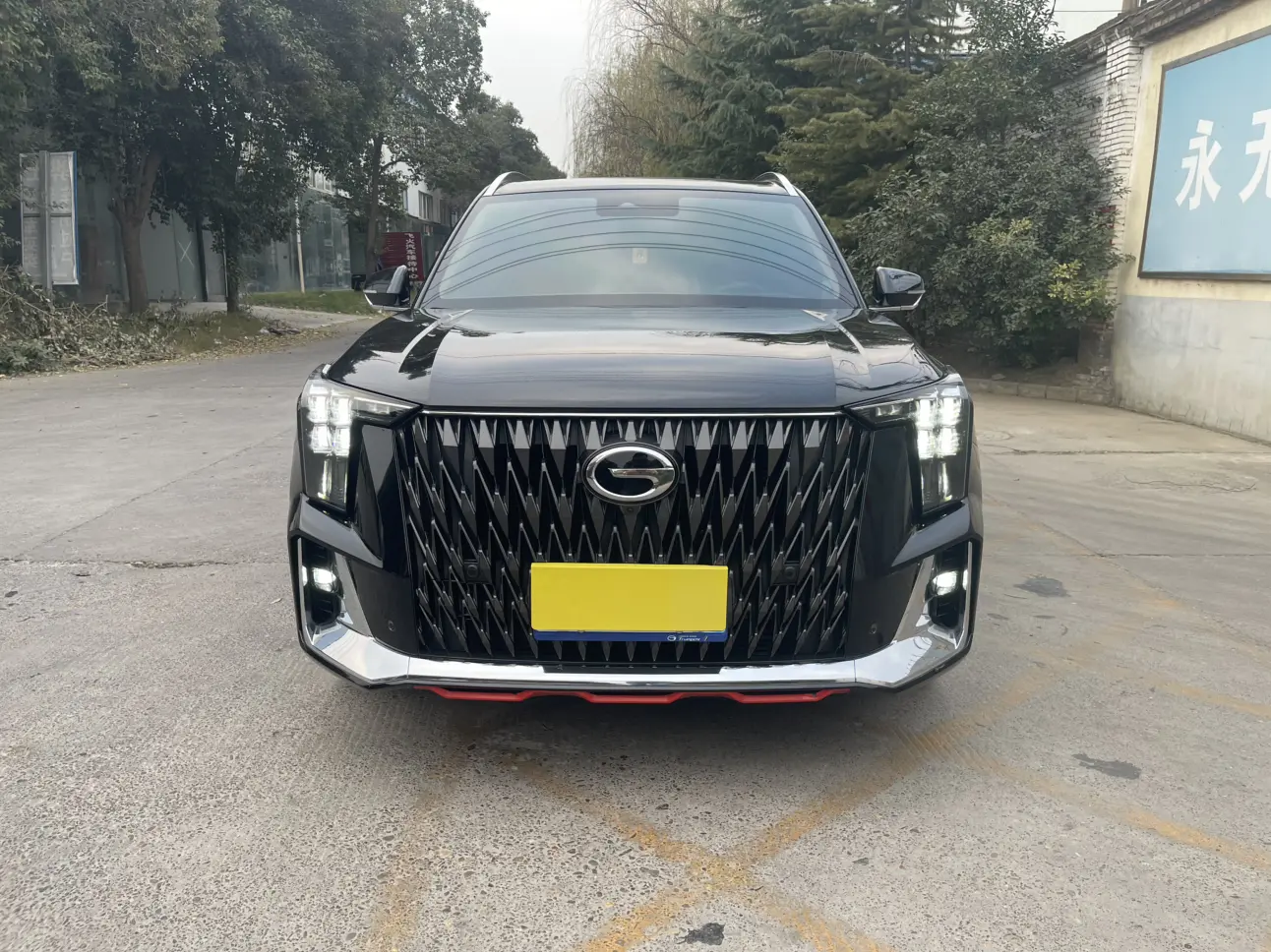 GAC Trumpchi GS8  из Китая