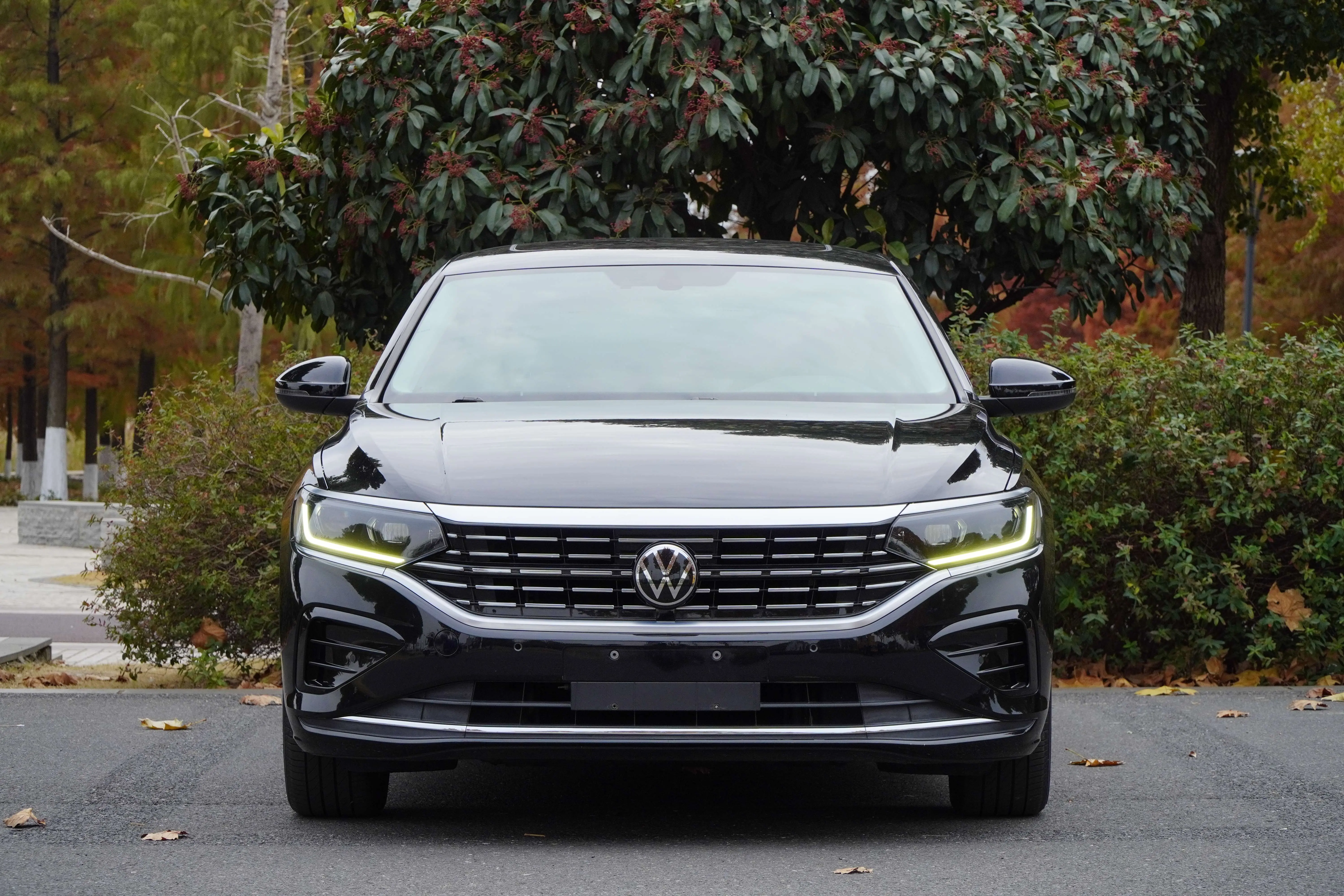 Volkswagen Passat  из Китая