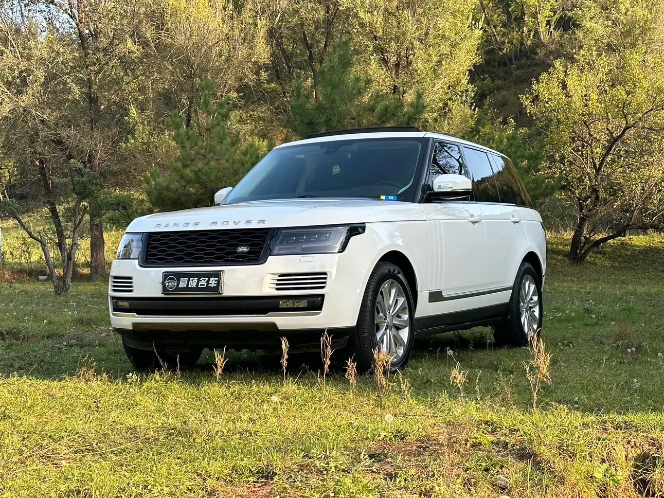 Land Rover Range rover
