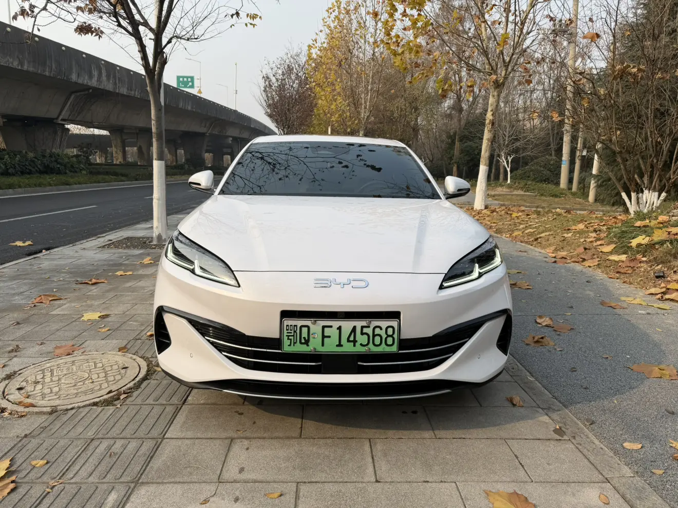 BYD Seal 06DM