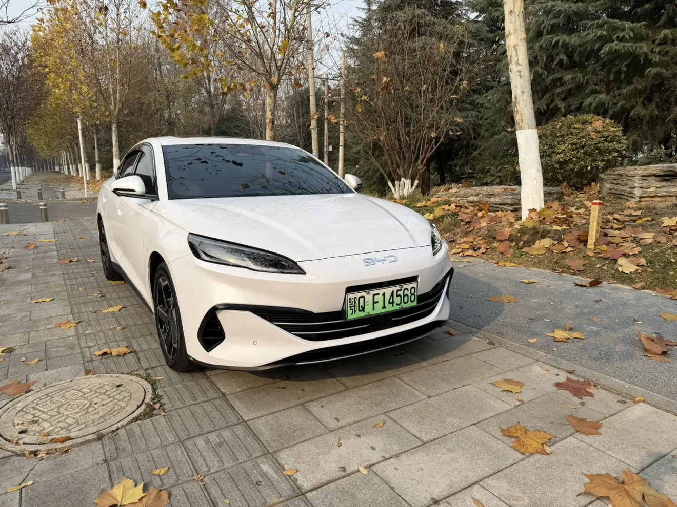 BYD Seal 06DM