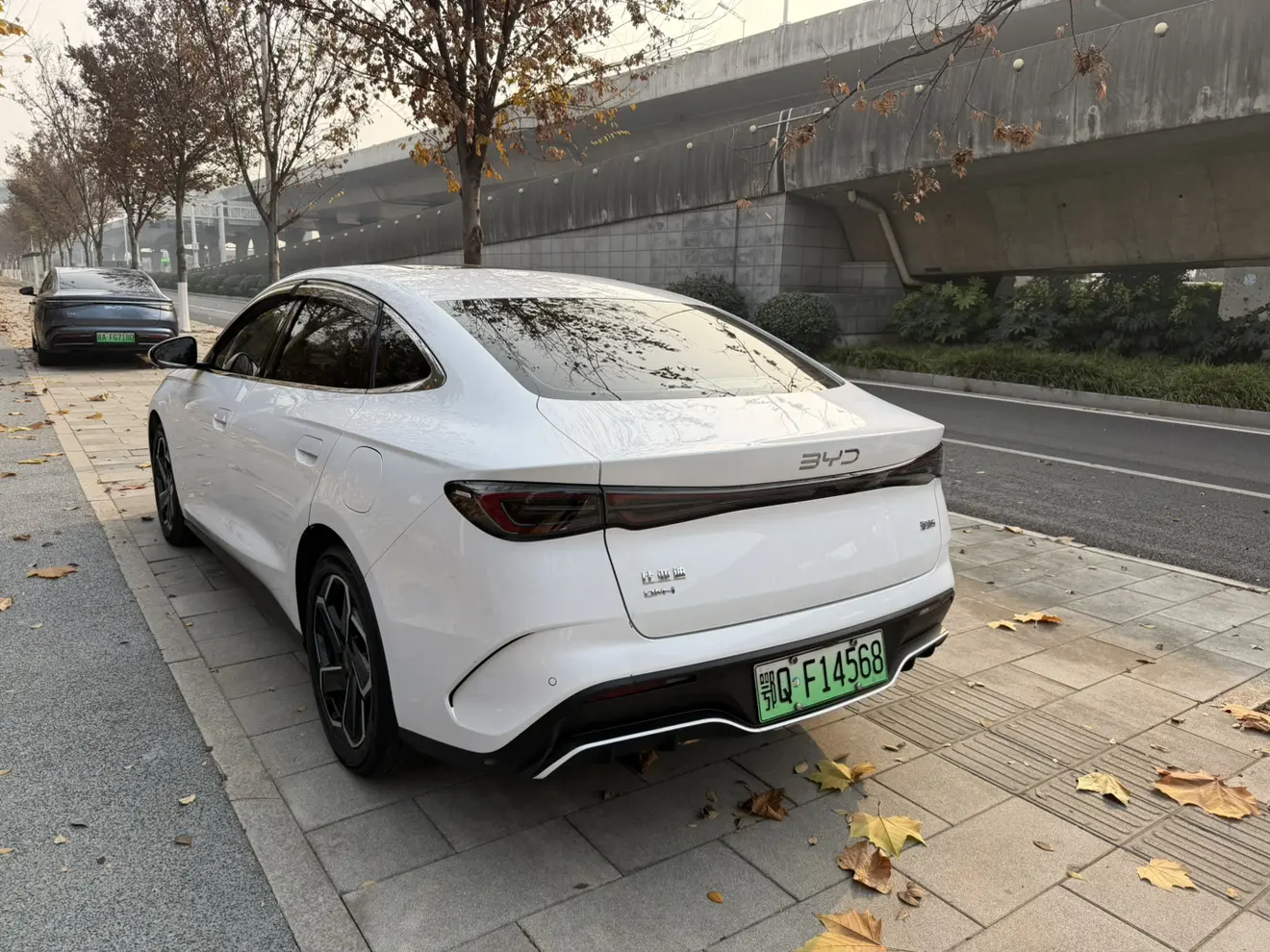BYD Seal 06DM