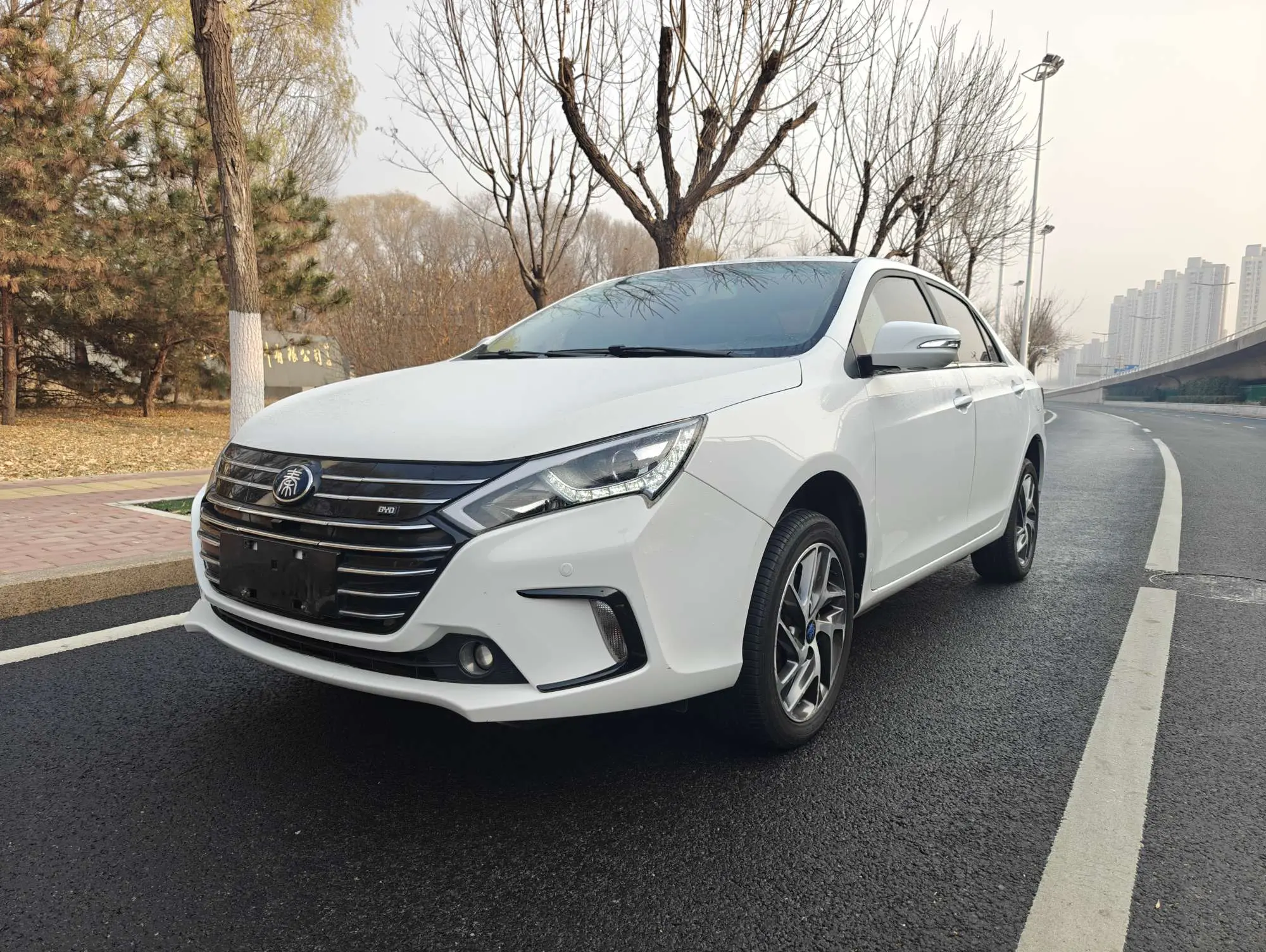 BYD QinEV  из Китая