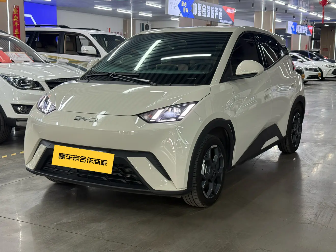 BYD Seagull  из Китая