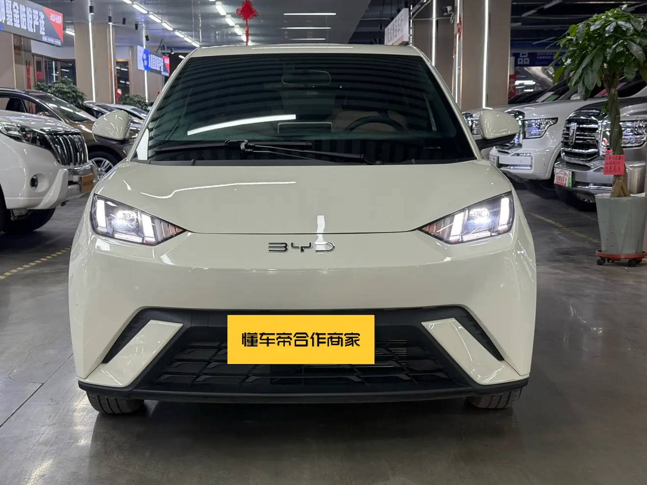 BYD Seagull  из Китая