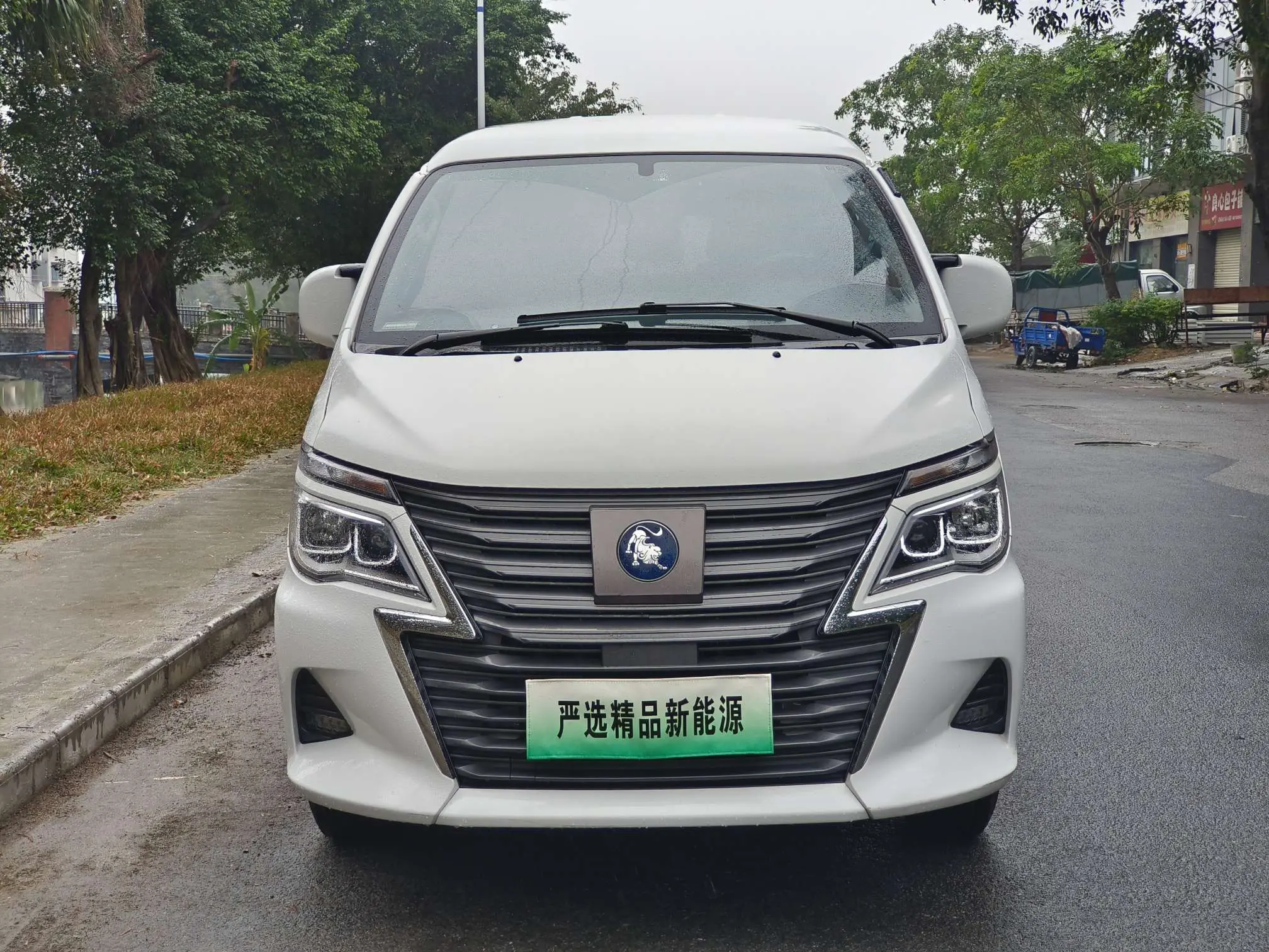 Forthing Lingzhi New Energy  из Китая