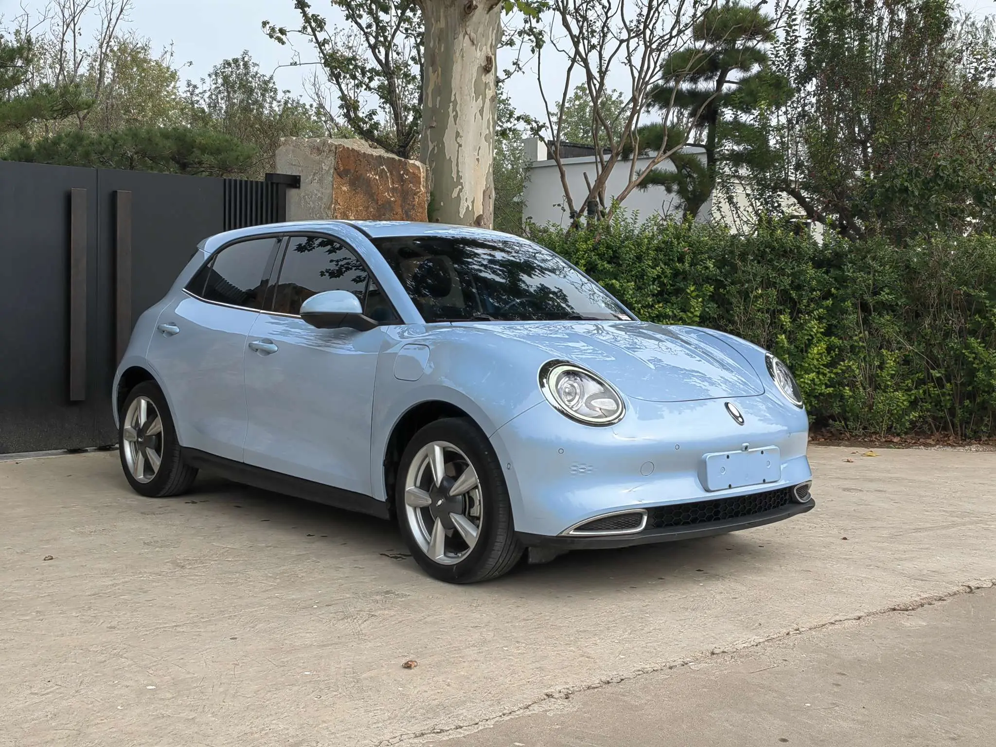 ORA Euler good cat  из Китая