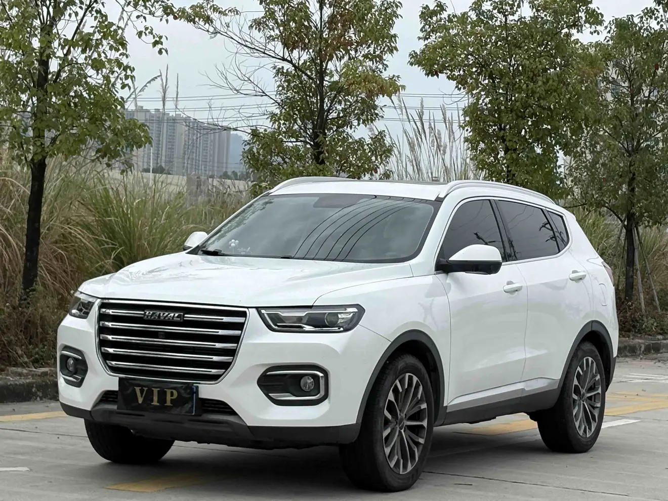 Haval H6  из Китая