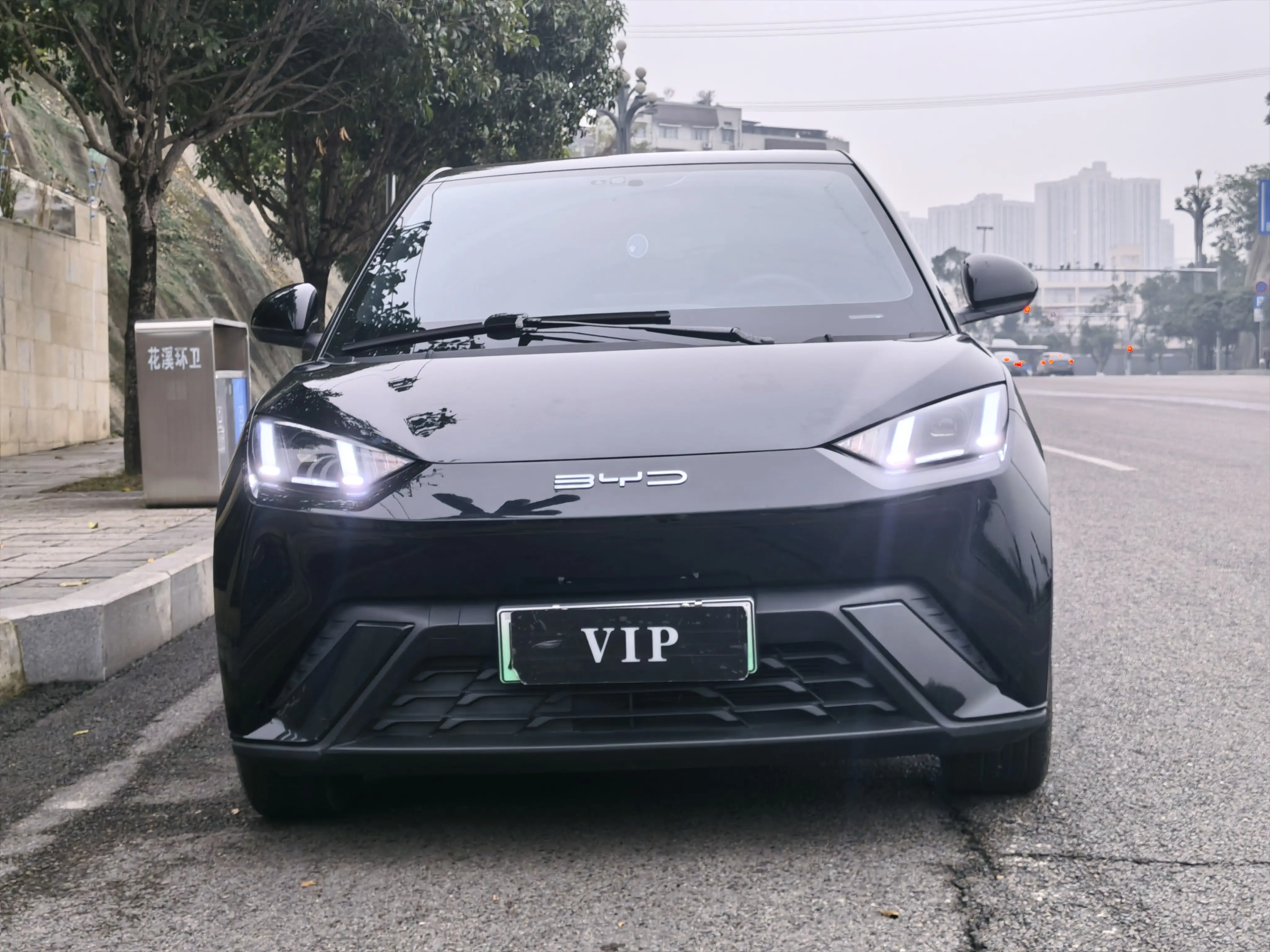 BYD Seagull  из Китая