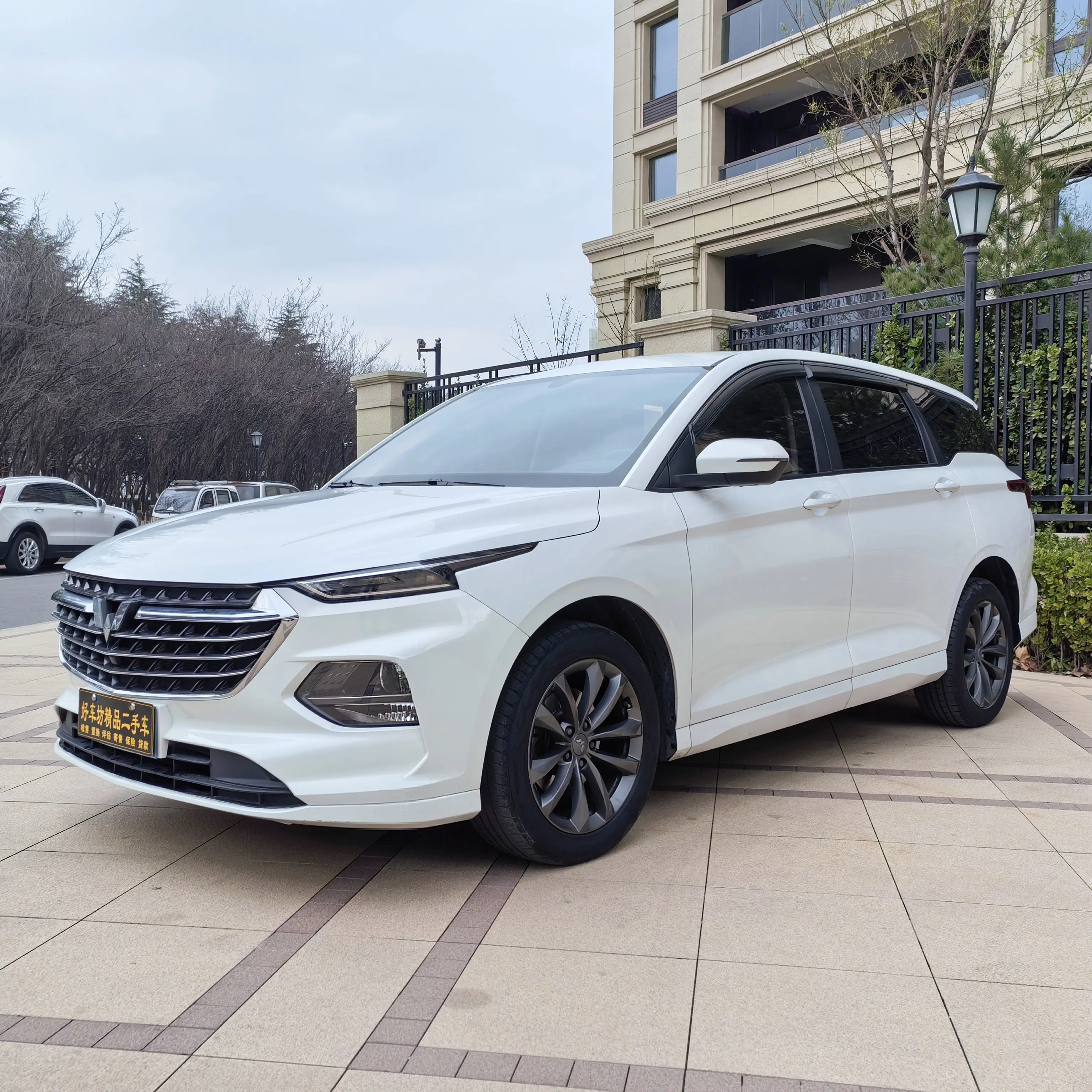 Wuling Capgemini Victory  из Китая