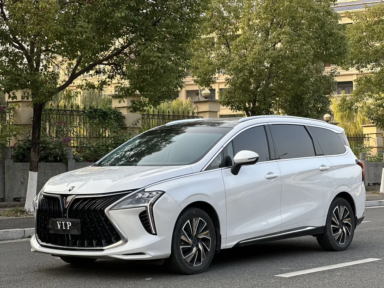 Forthing Popular yacht  из Китая