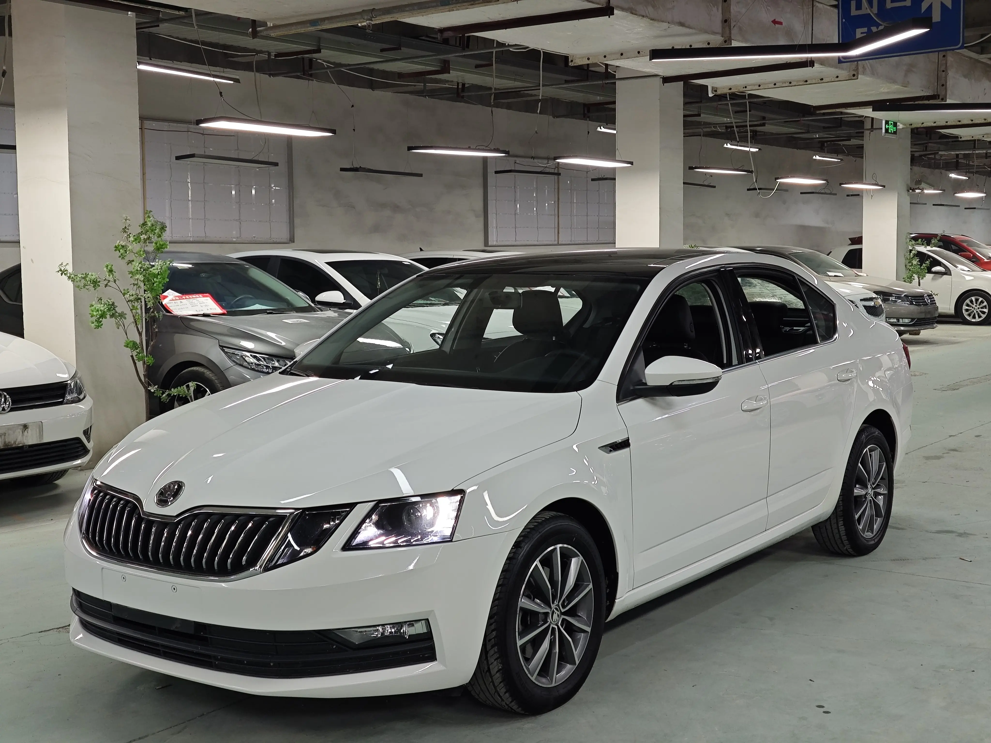 Skoda Octavia  из Китая