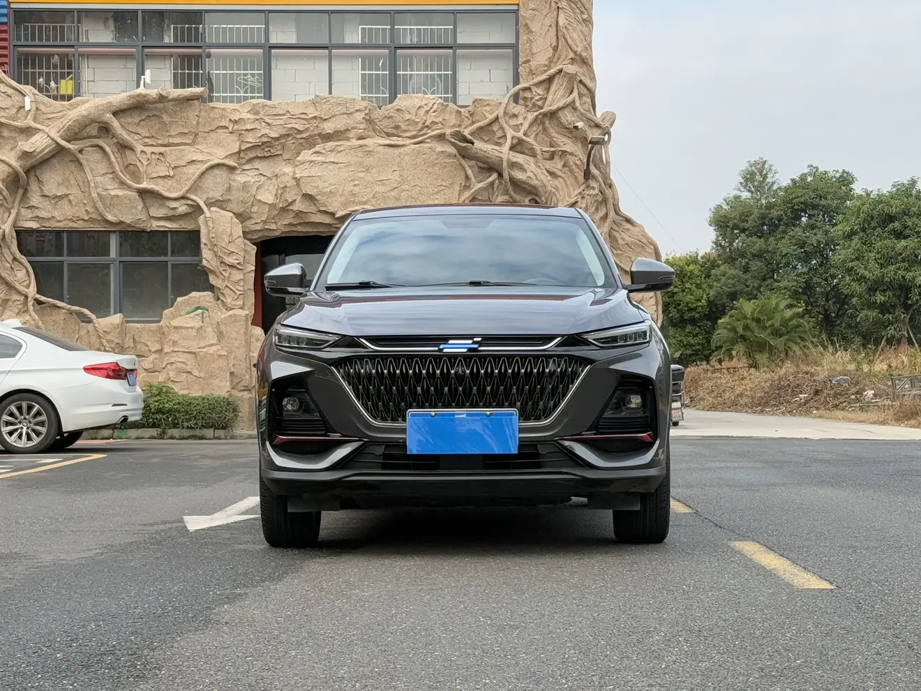 Oshan Changan Auchan X7 PLUS  из Китая