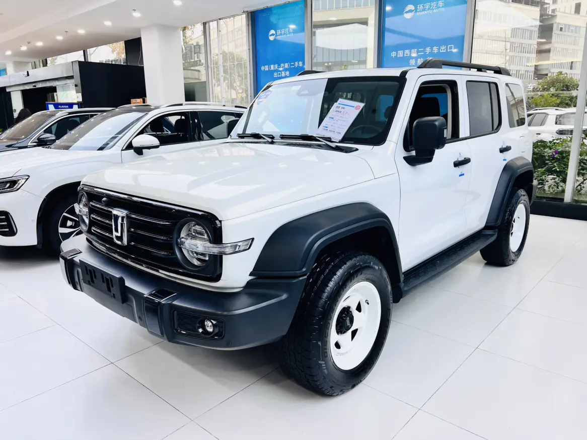 Tank 300  из Китая