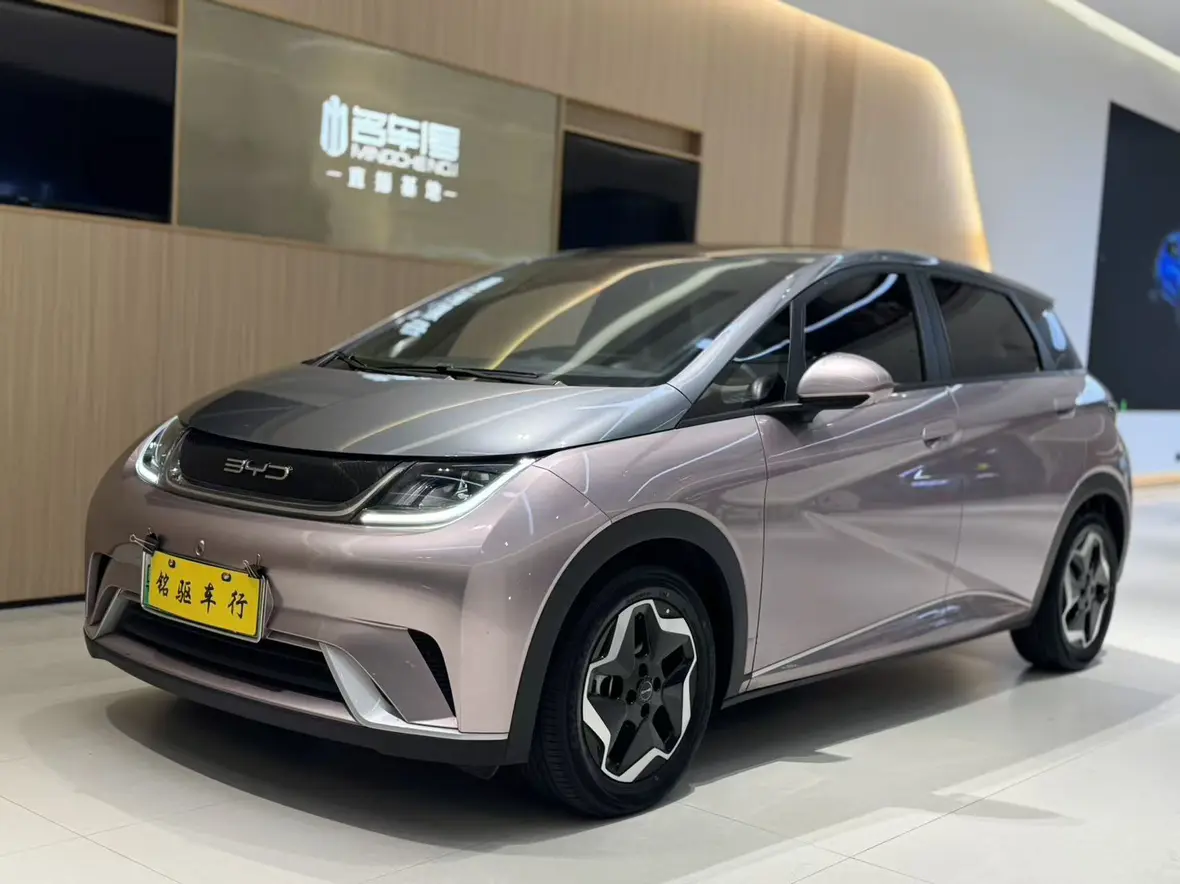 BYD Dolphin  из Китая